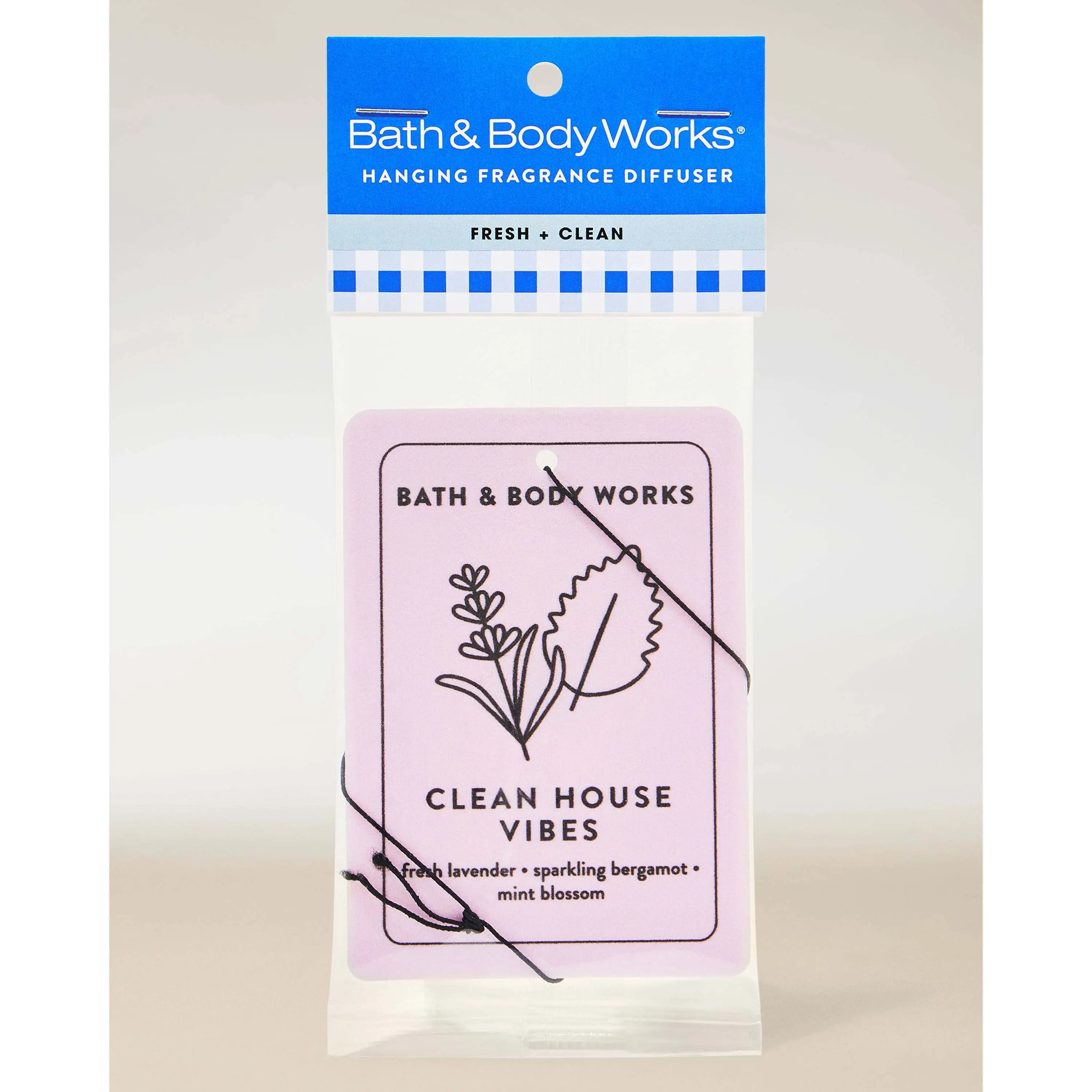 Clean House Vibes Hanging Fragrance Diffuser - Image 5