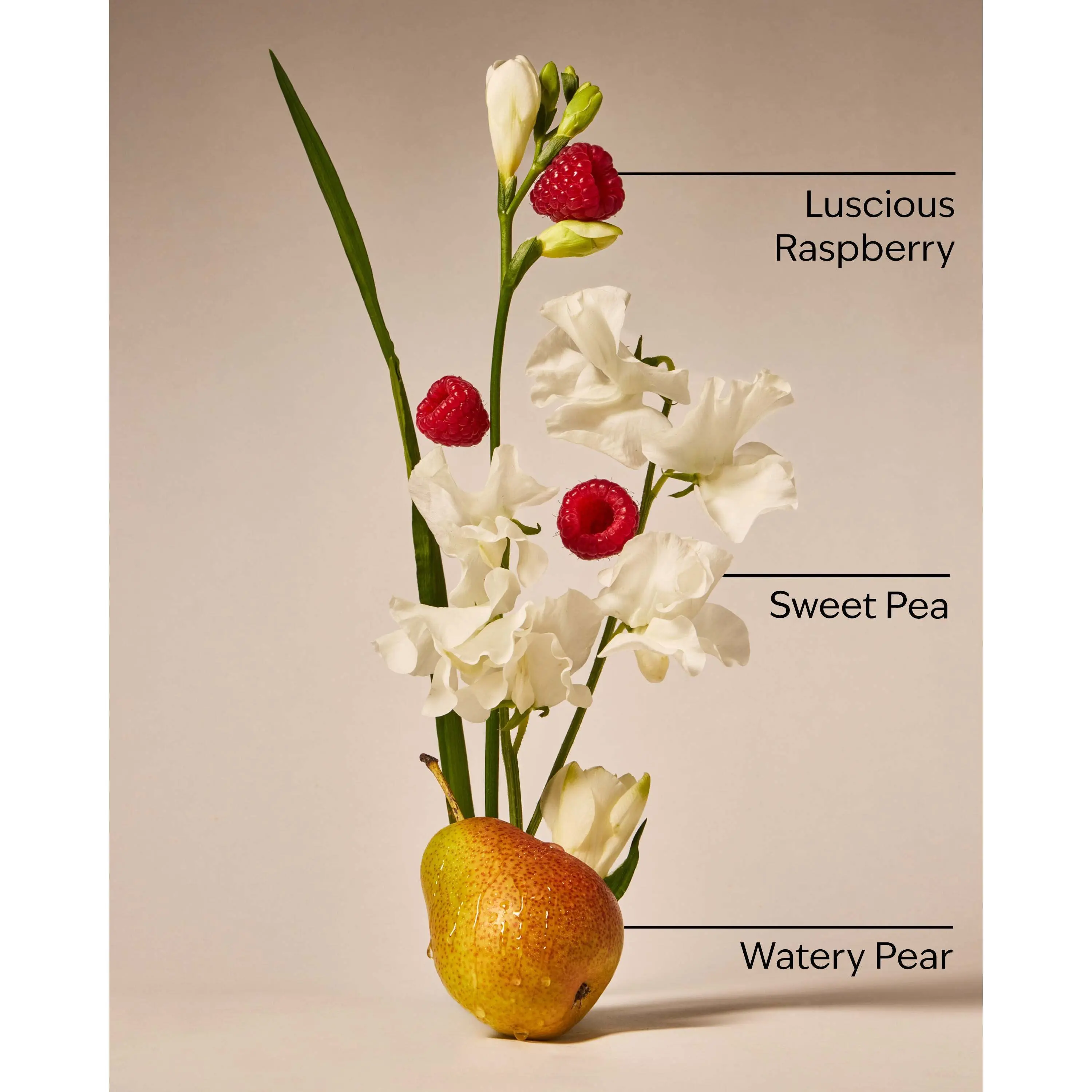 Sweet Pea Wallflowers Refills 2-Pack - Image 3