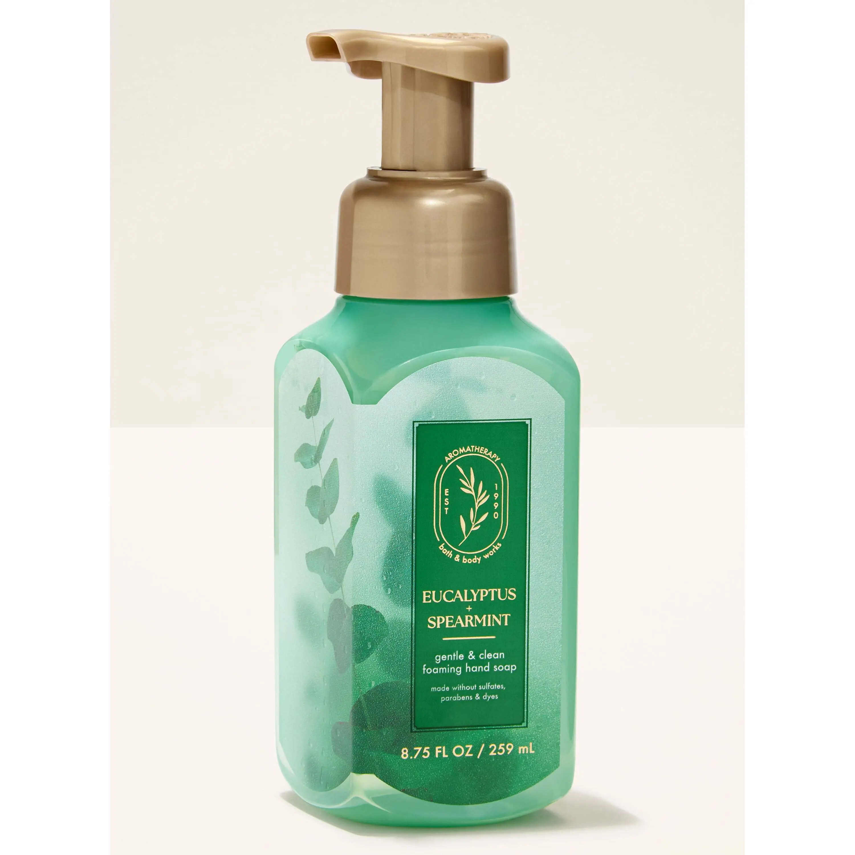 Eucalyptus Spearmint Gentle & Clean Foaming Hand Soap