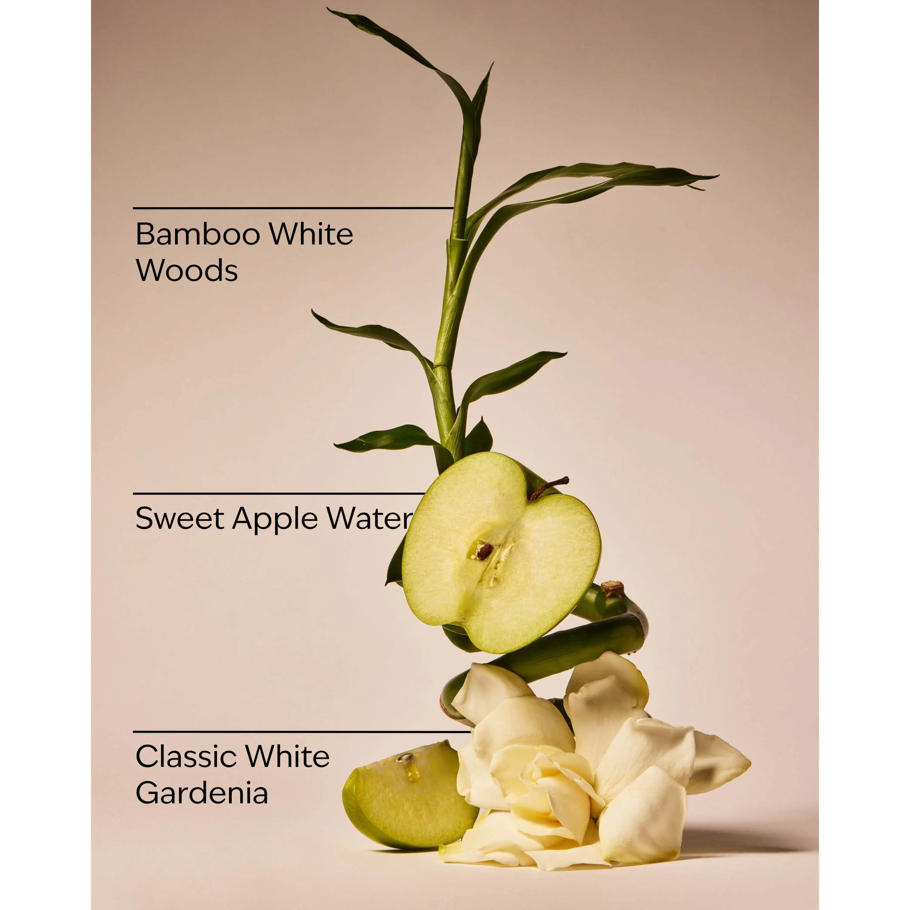 Rainforest Gardenia Wallflowers Refills 2-Pack - Image 3