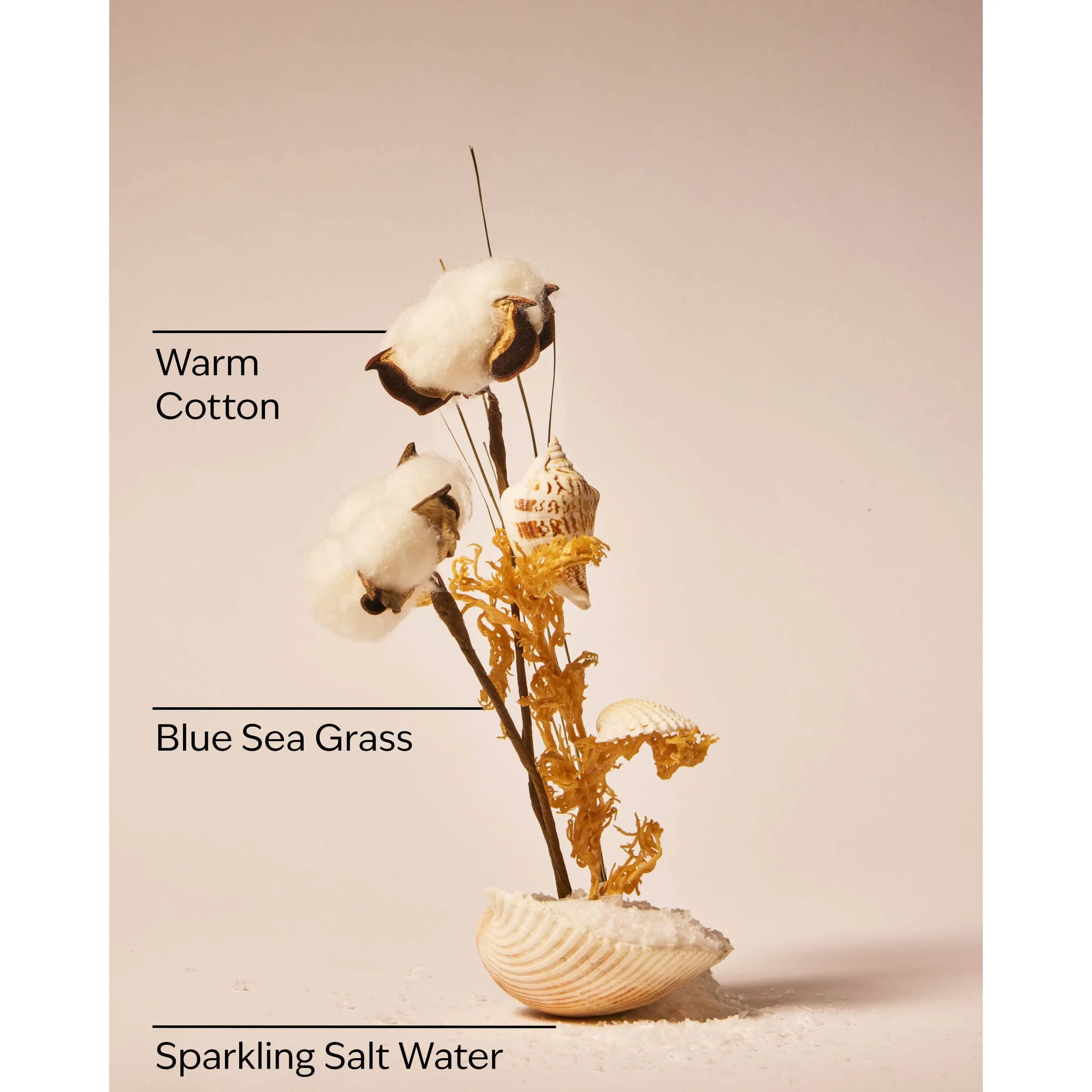 Beach Blanket Wallflowers Fragrance Refill - Image 3
