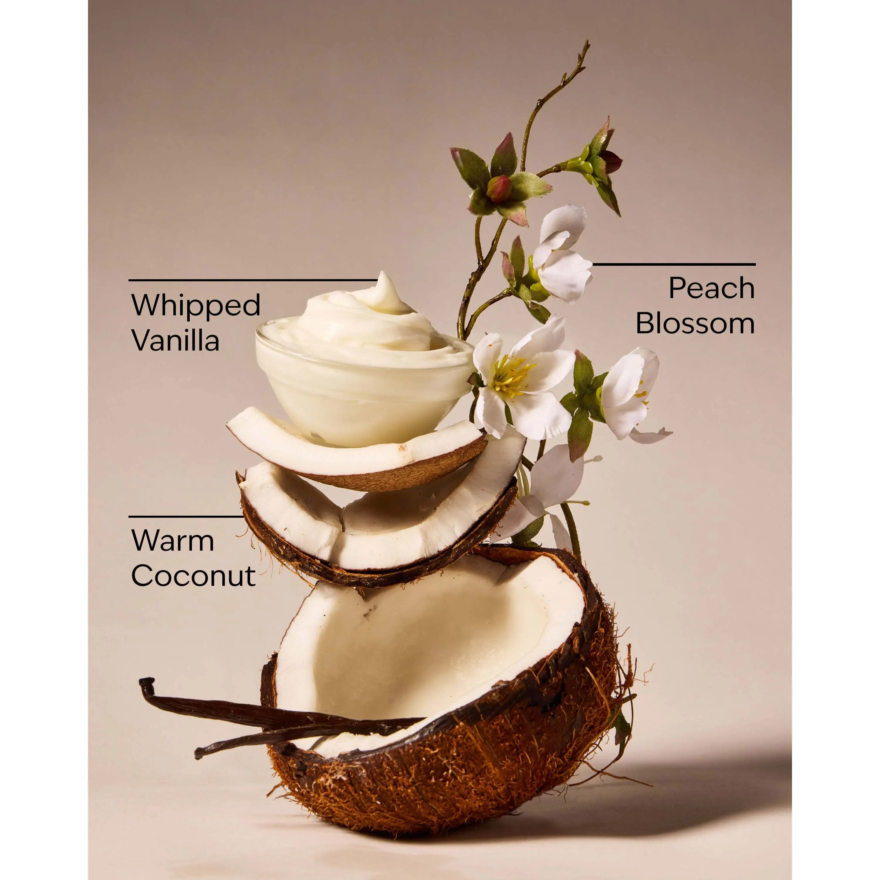 Vanilla Coconut Wallflowers Refills 2-Pack - Image 3