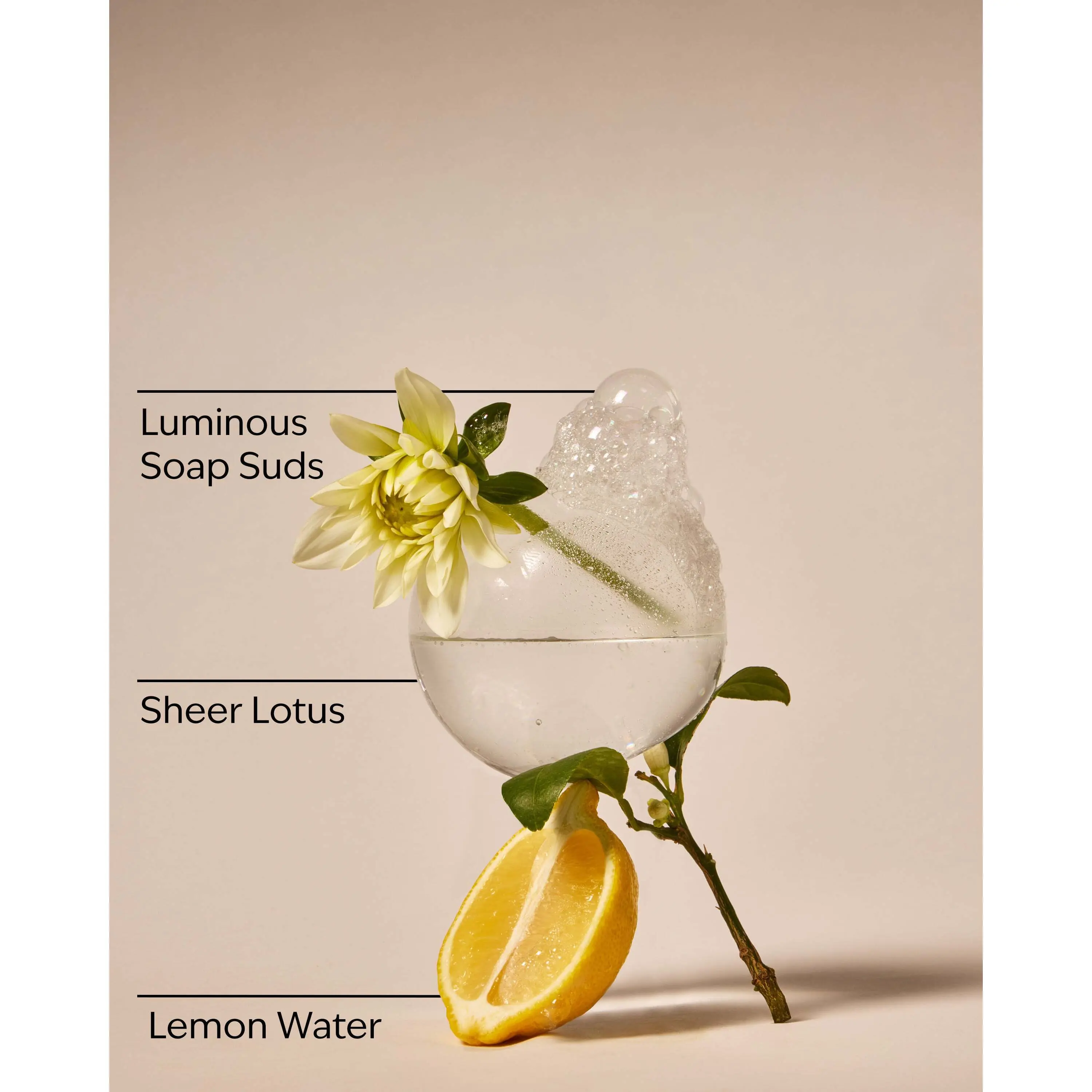 Clean House Vibes - Sparkling Bubbles Wallflowers Refills 2-Pack - Image 3
