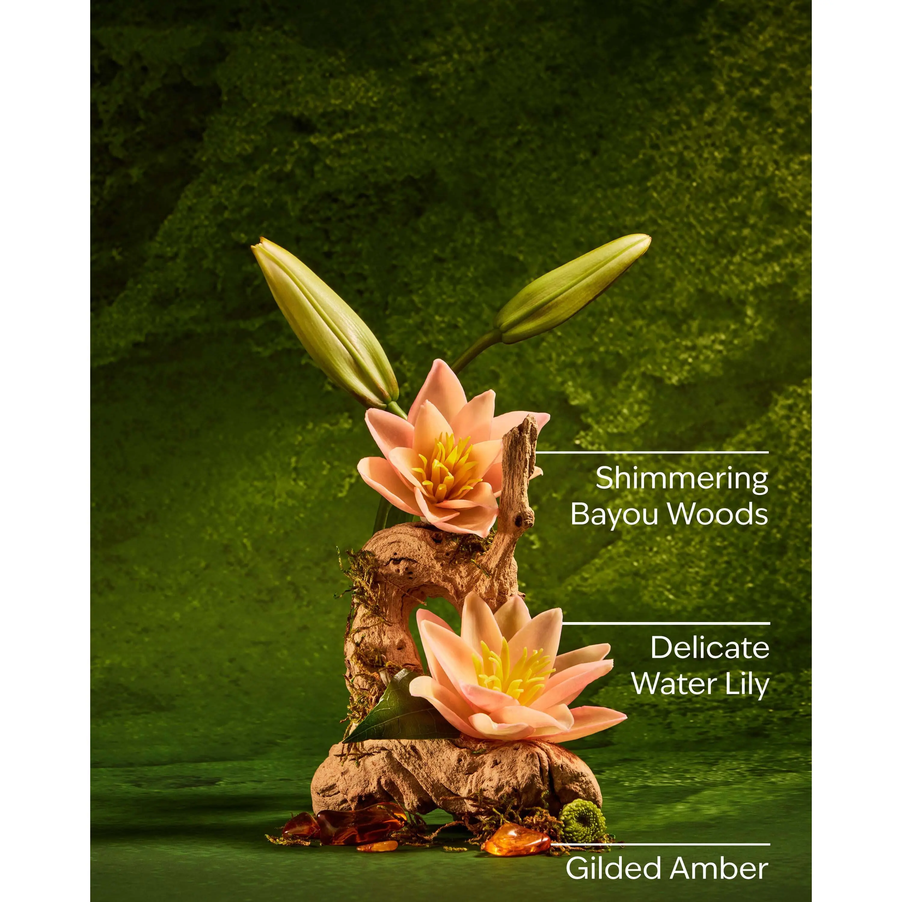 Tiana Gentle & Clean Foaming Hand Soap - Image 3