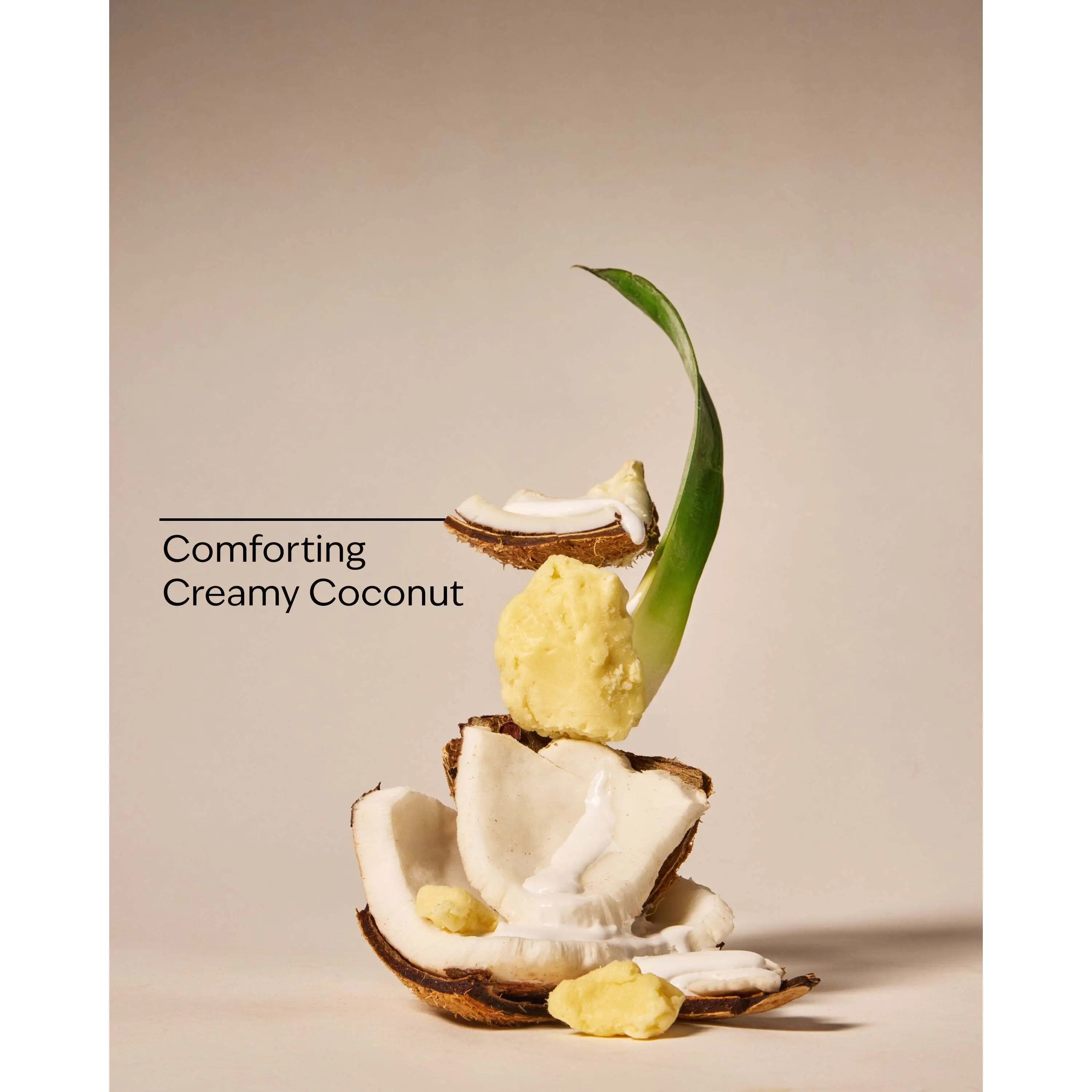 Coco Shea Rich Moisture Moisturizing Body Wash - Image 3