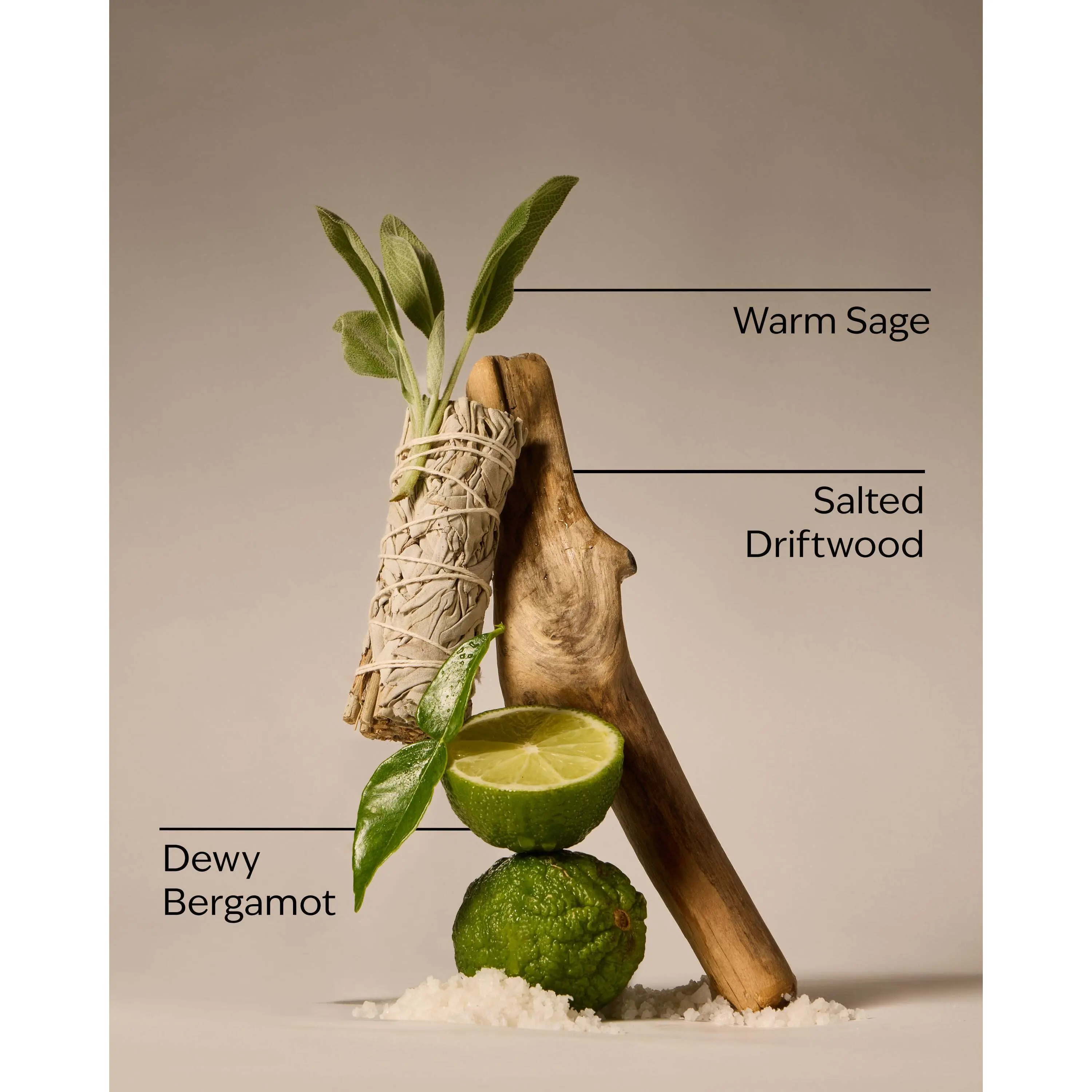 Salted Shorelines Fine Fragrance Mist - Image 3