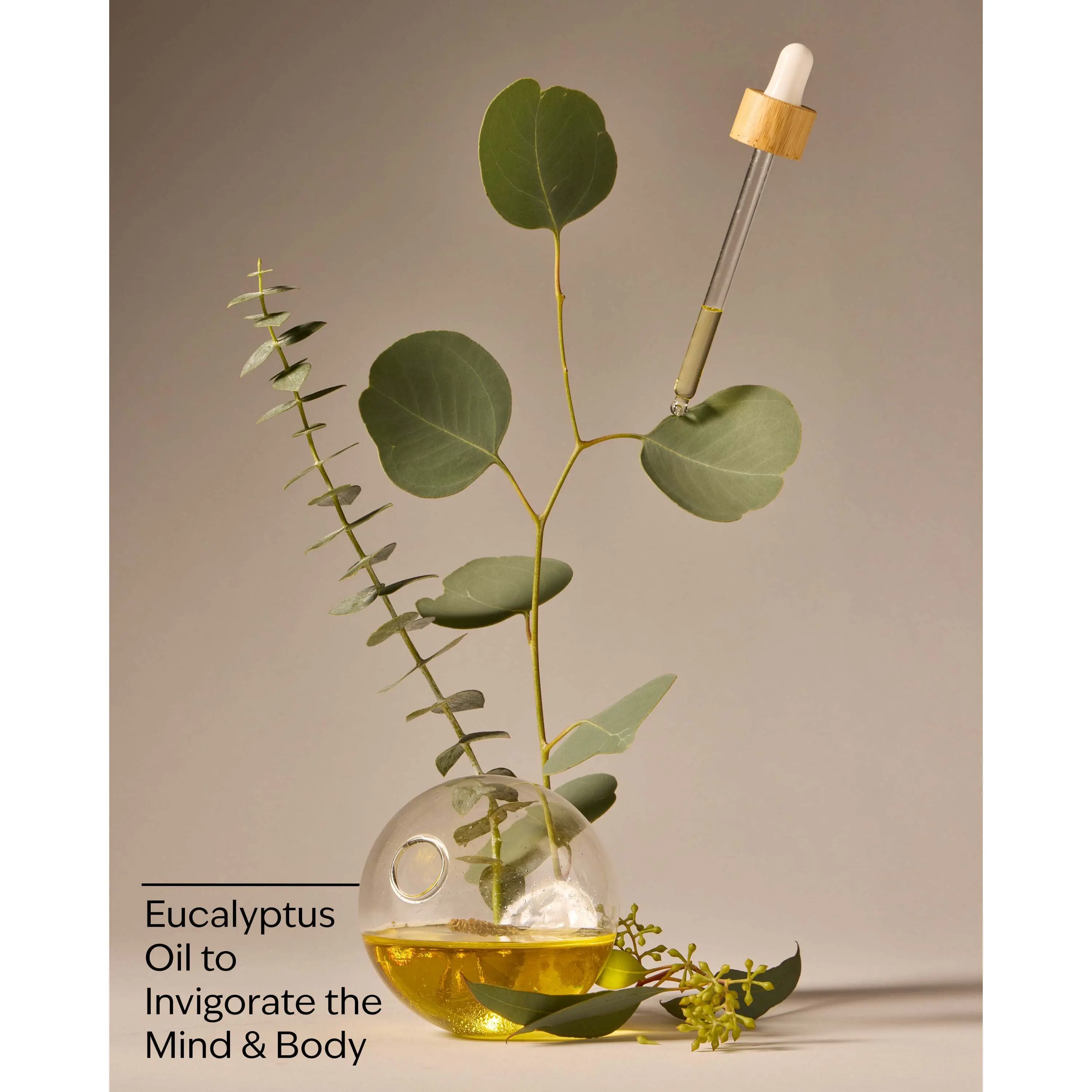 Eucalyptus Ultimate Hydration Body Cream - Image 3