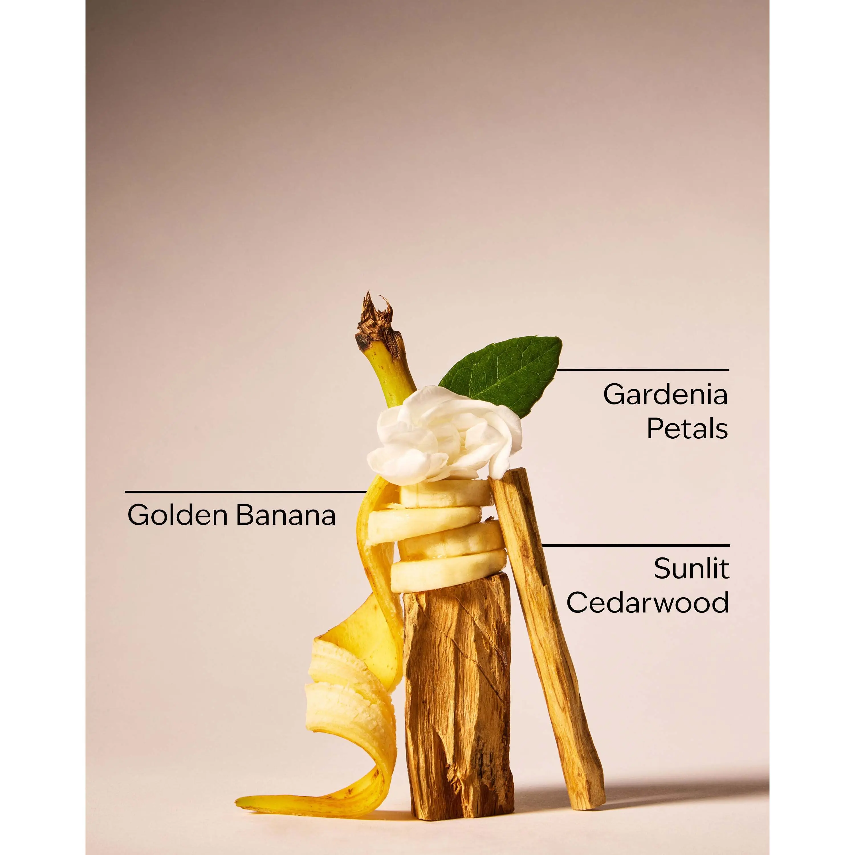Dreaming Of Rio Body Butter - Image 3