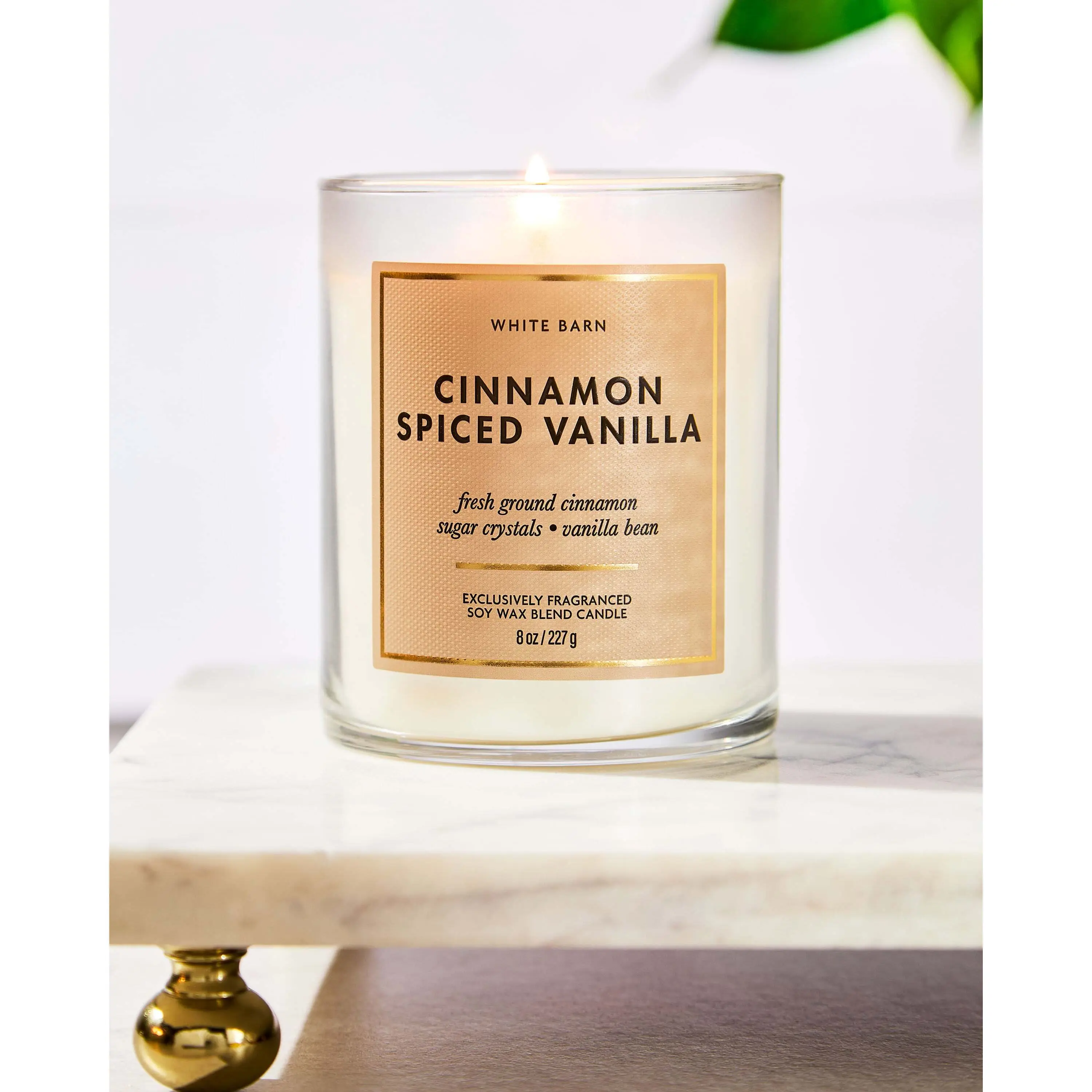 Cinnamon Spiced Vanilla Single Wick Candle - Image 6