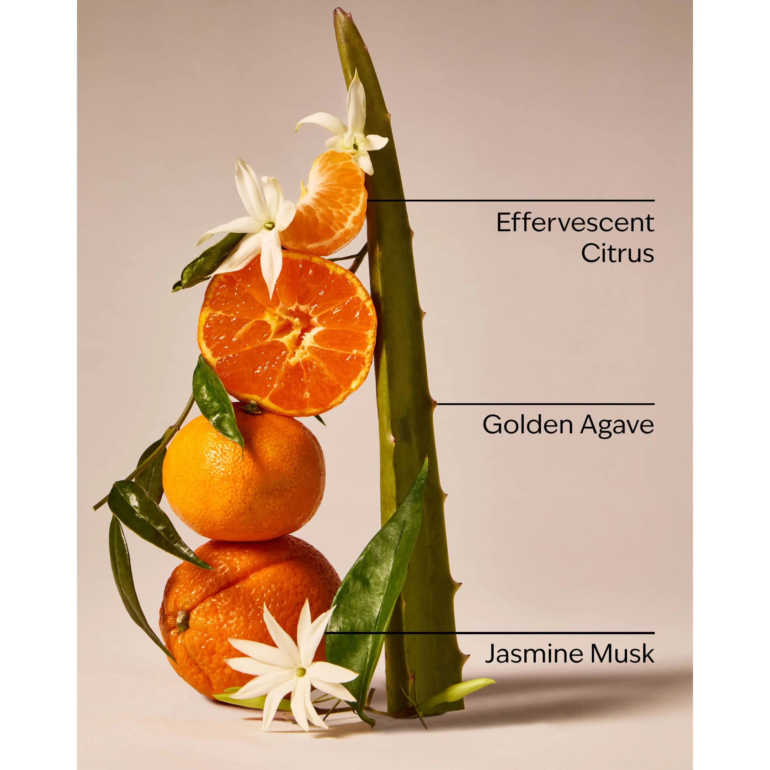 Sweet Orange & Agave Concentrated Room Spray - Image 3