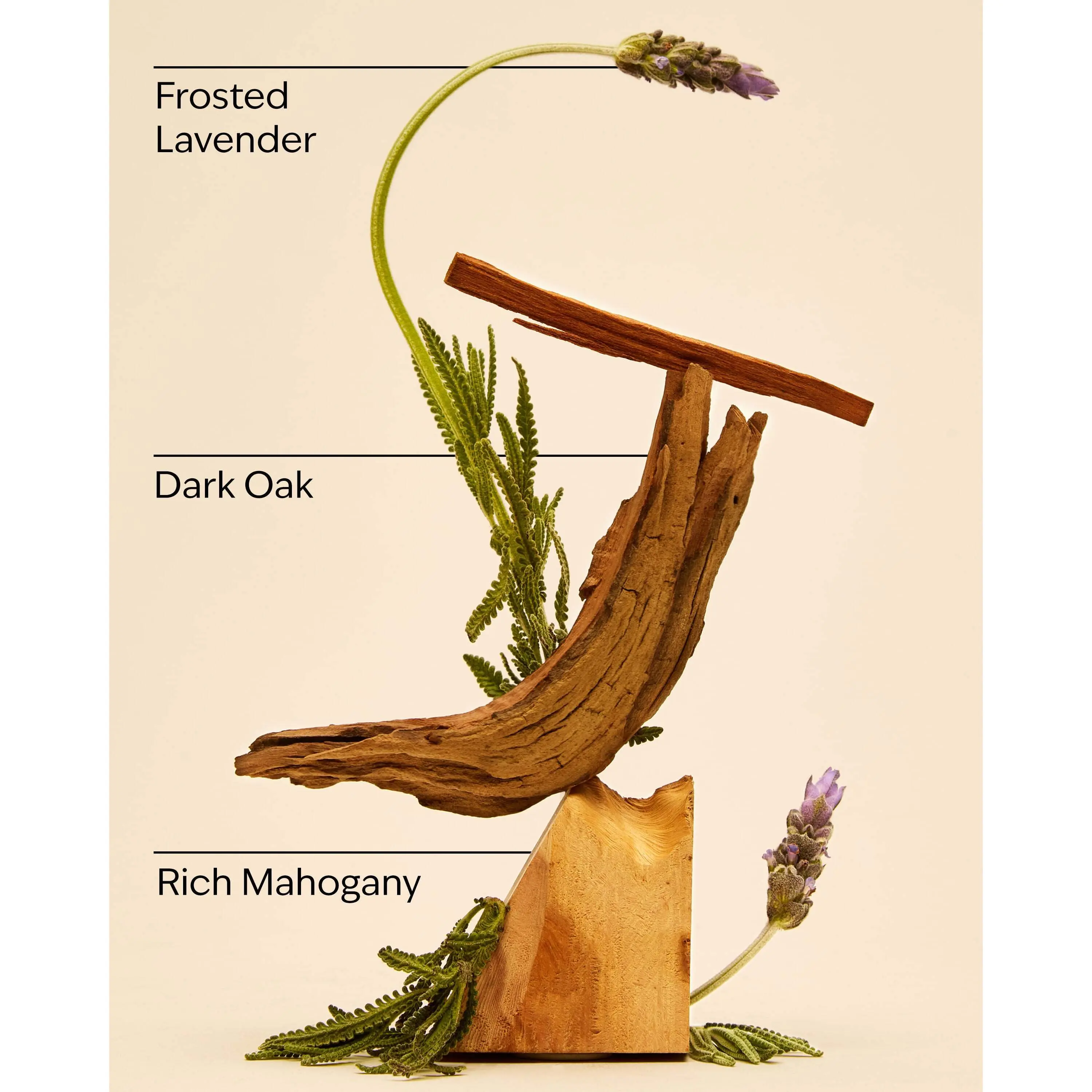 Mahogany Teakwood Ultimate Hydration Body Cream - Image 3