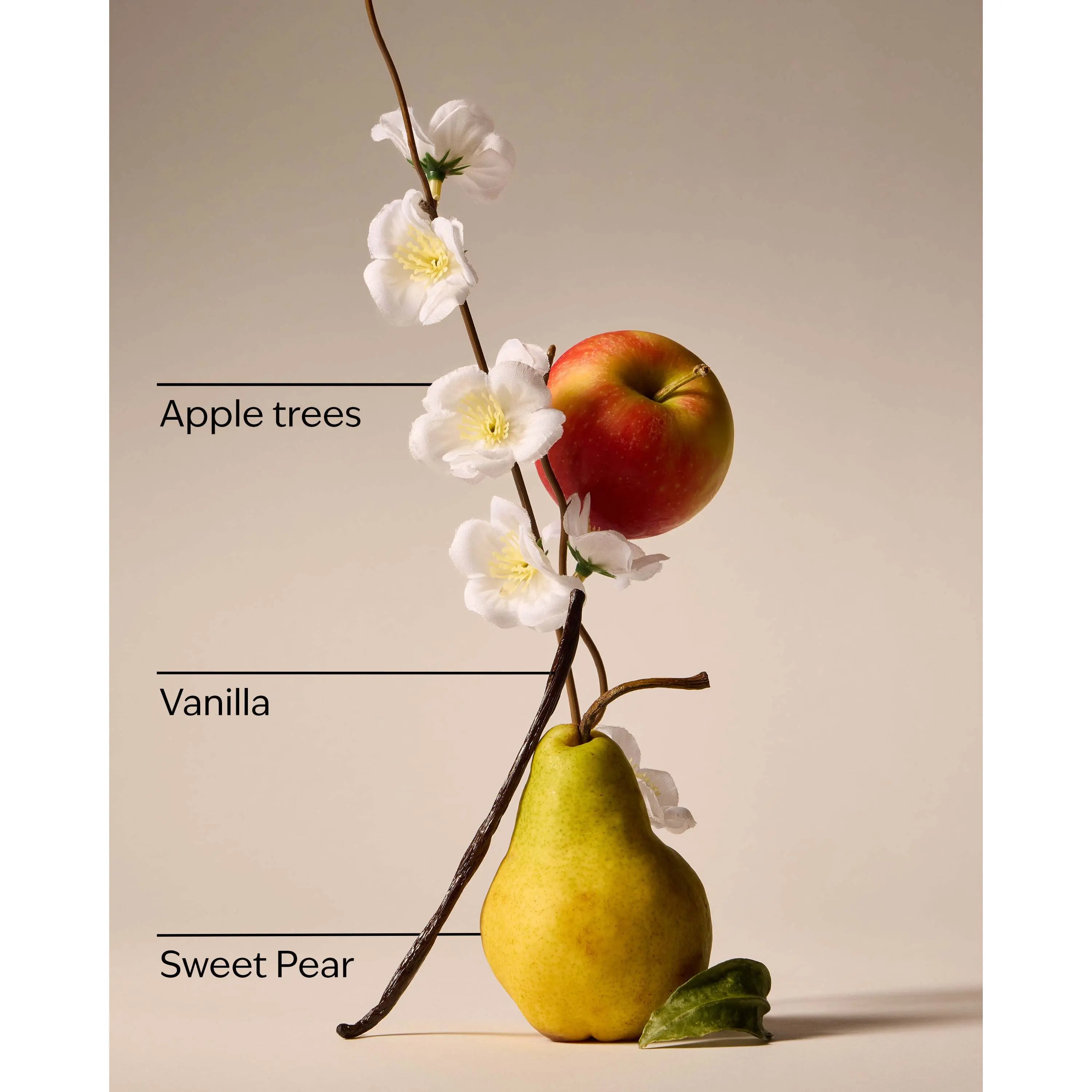 Spring Apple Wallflowers Fragrance Refill - Image 3