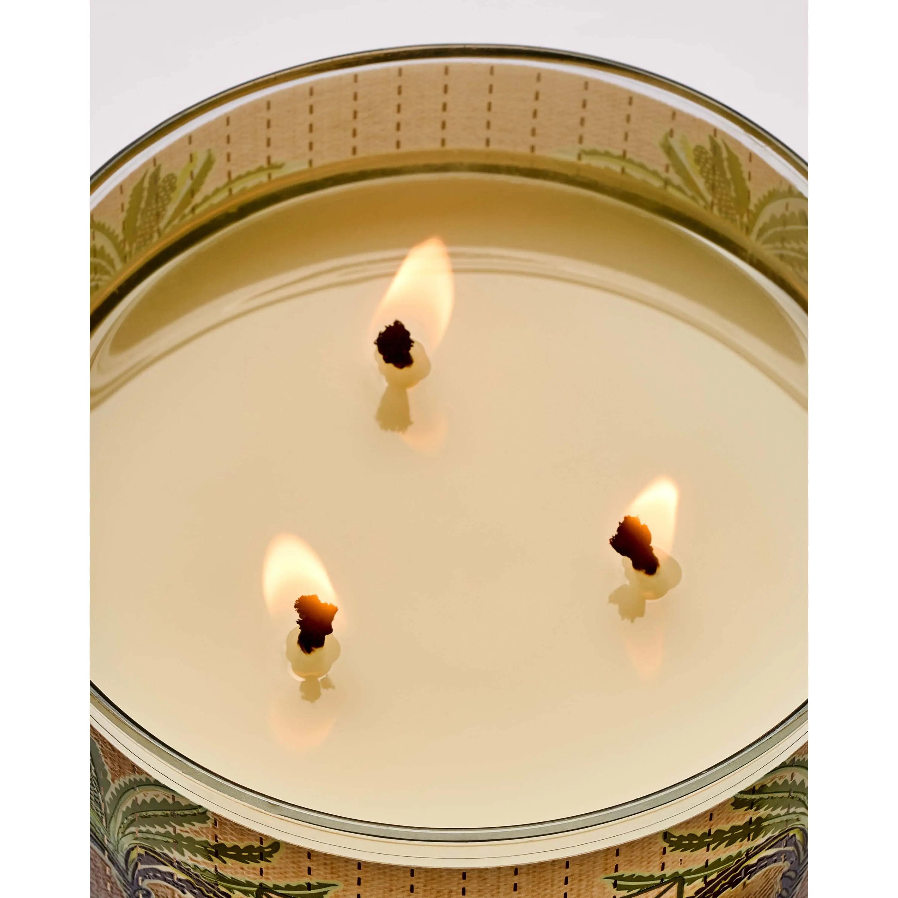 Waikiki Beach Coconut 3-Wick Candle - Image 5