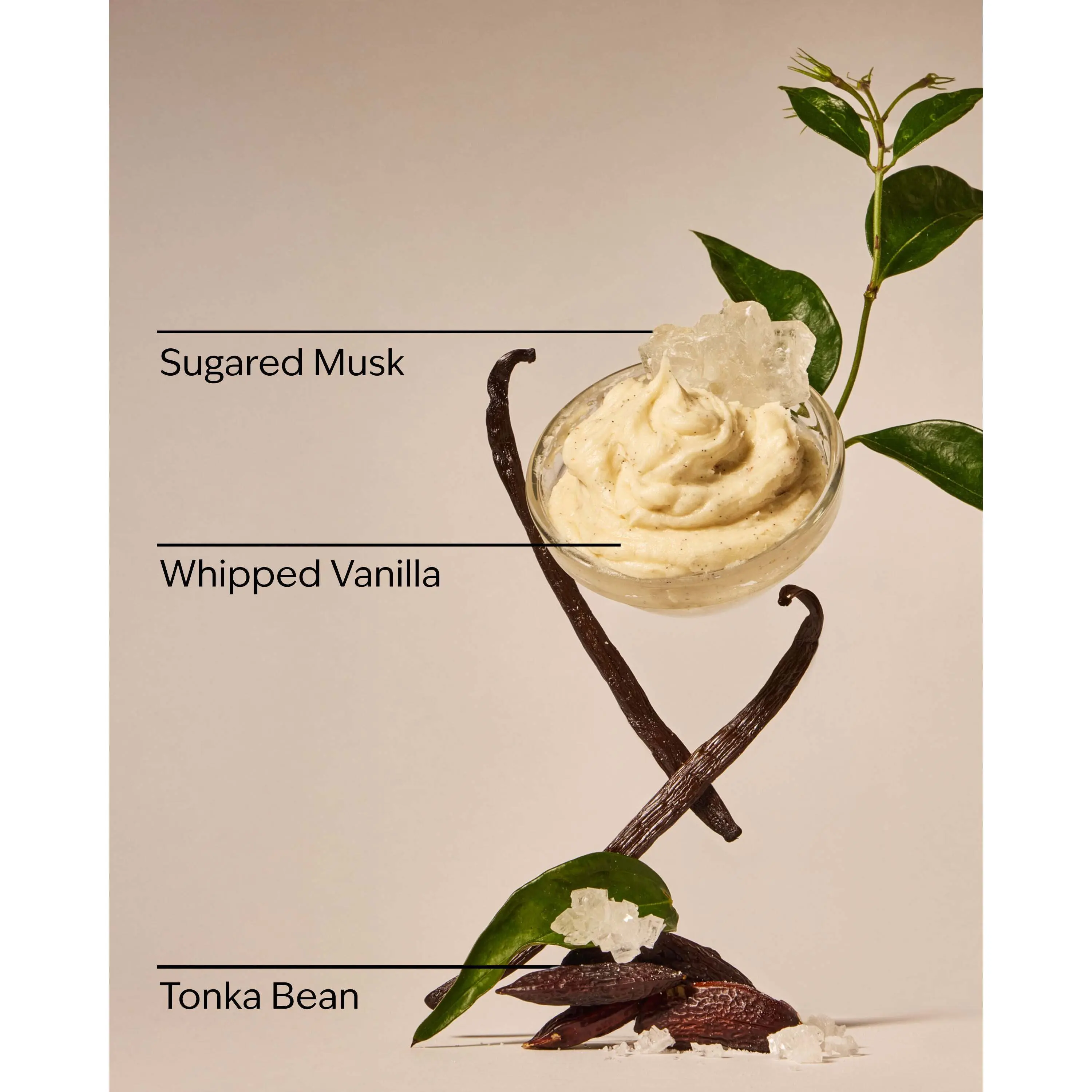 Wild Vanilla Travel Size Fine Fragrance Mist - Image 3