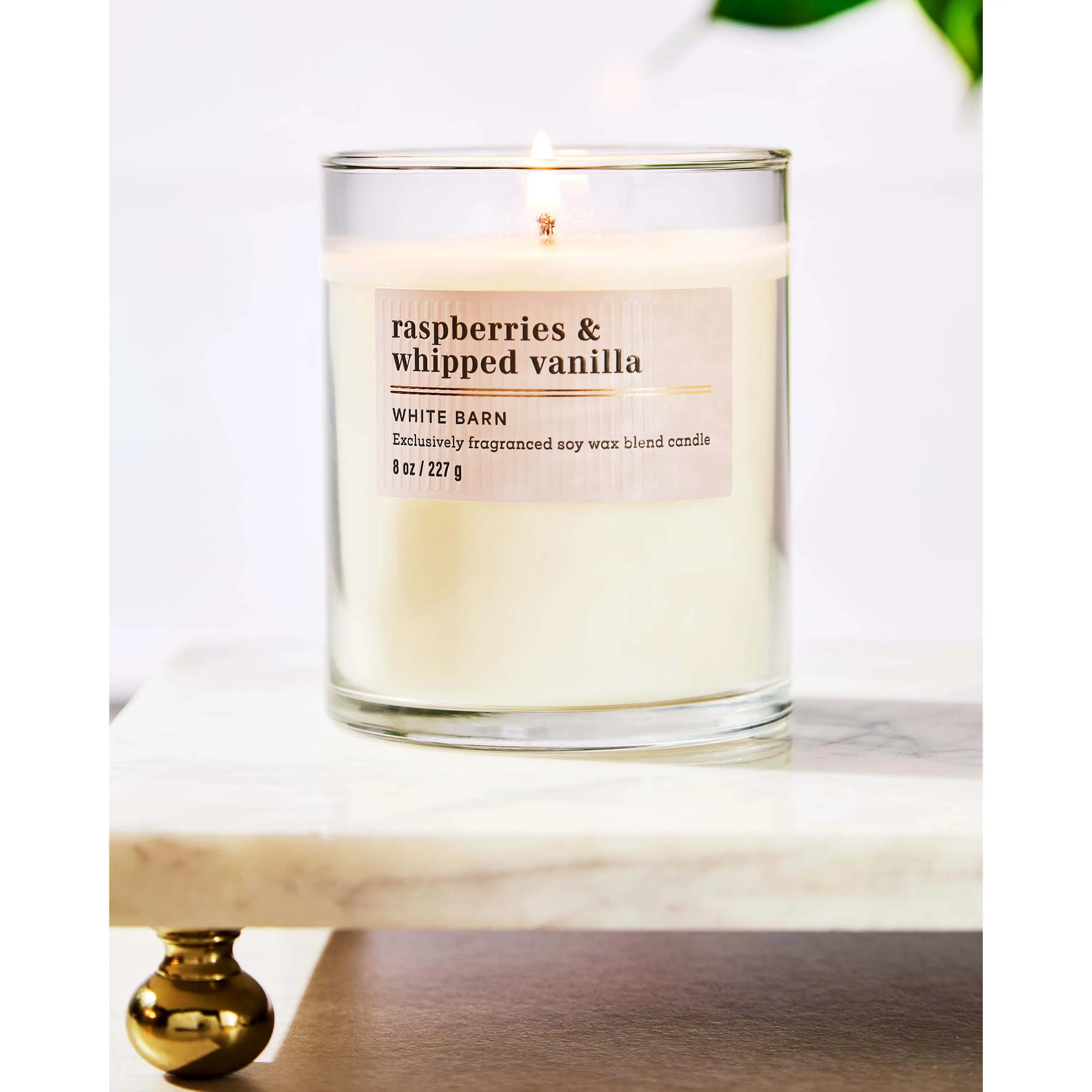 Raspberries & Whipped Vanilla Single Wick Candle - Image 6