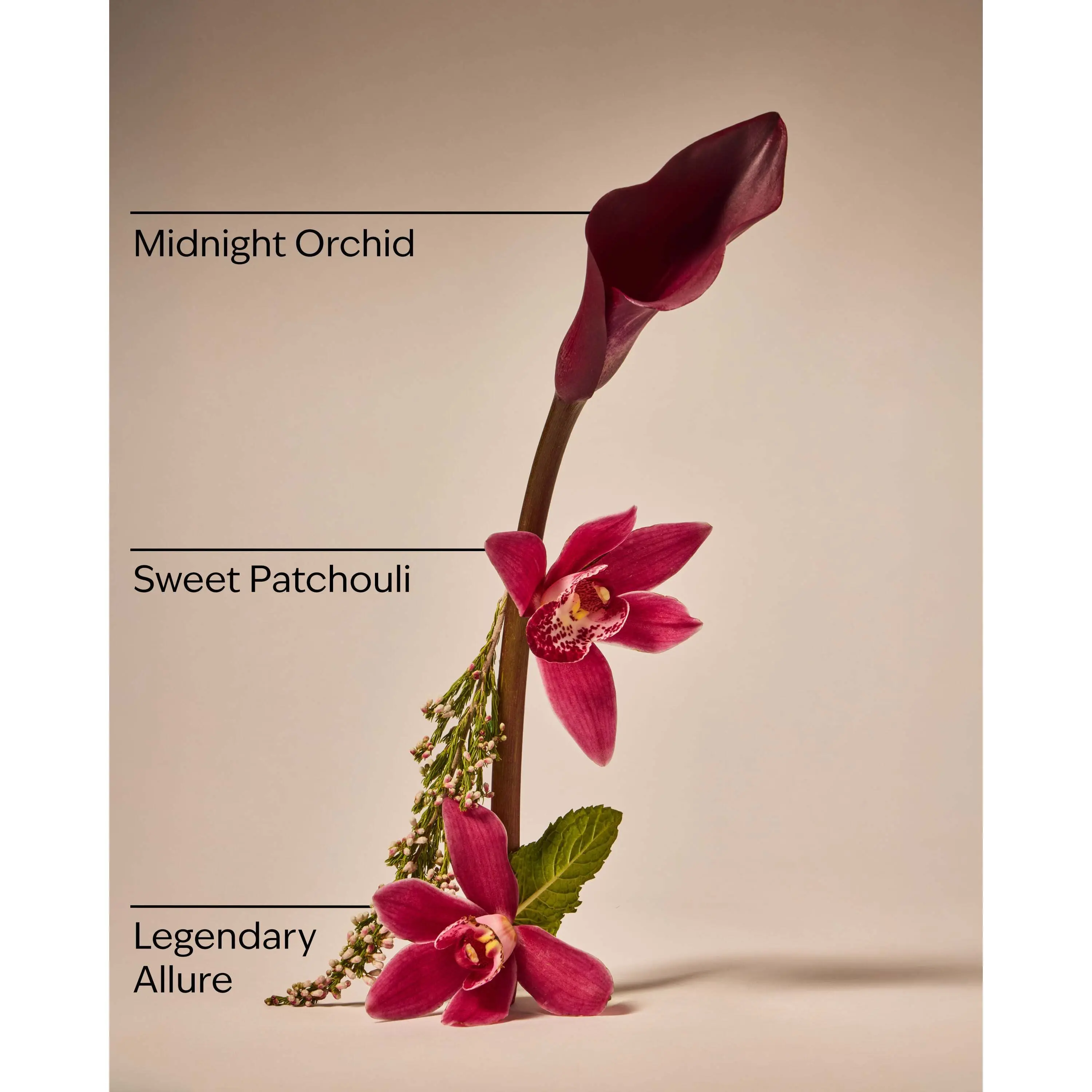 Lowkey Legend Wallflowers Fragrance Refill - Image 3