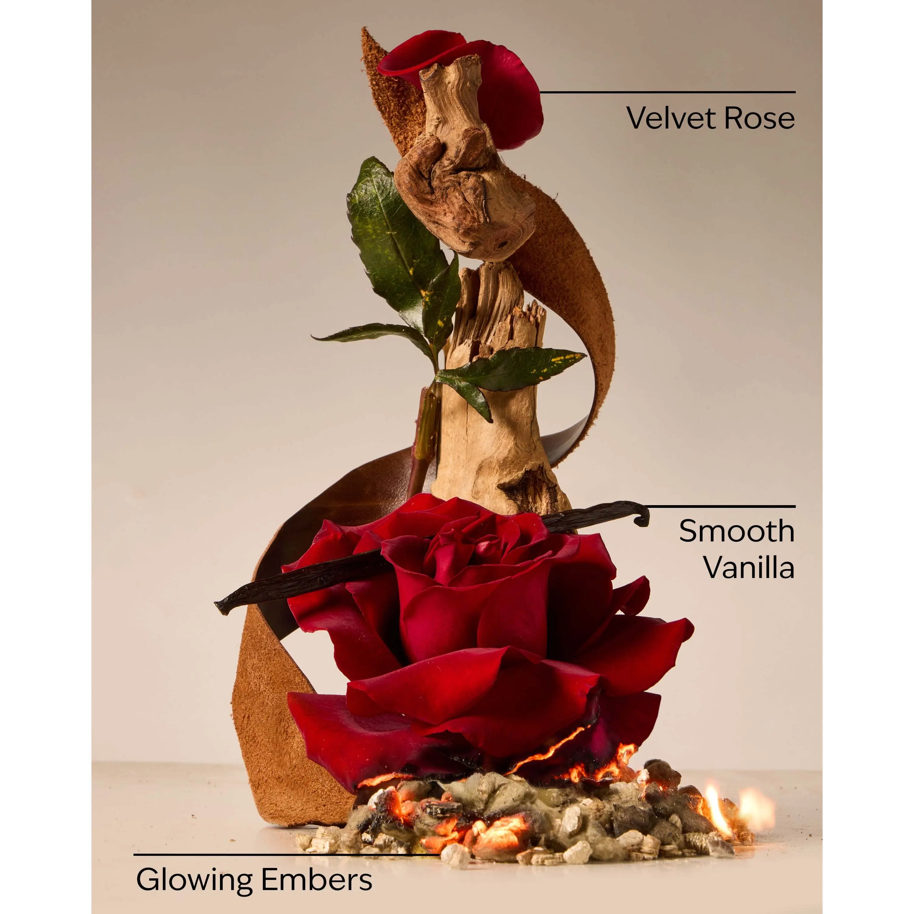 Rosewood & Suede 3-Wick Candle - Image 3