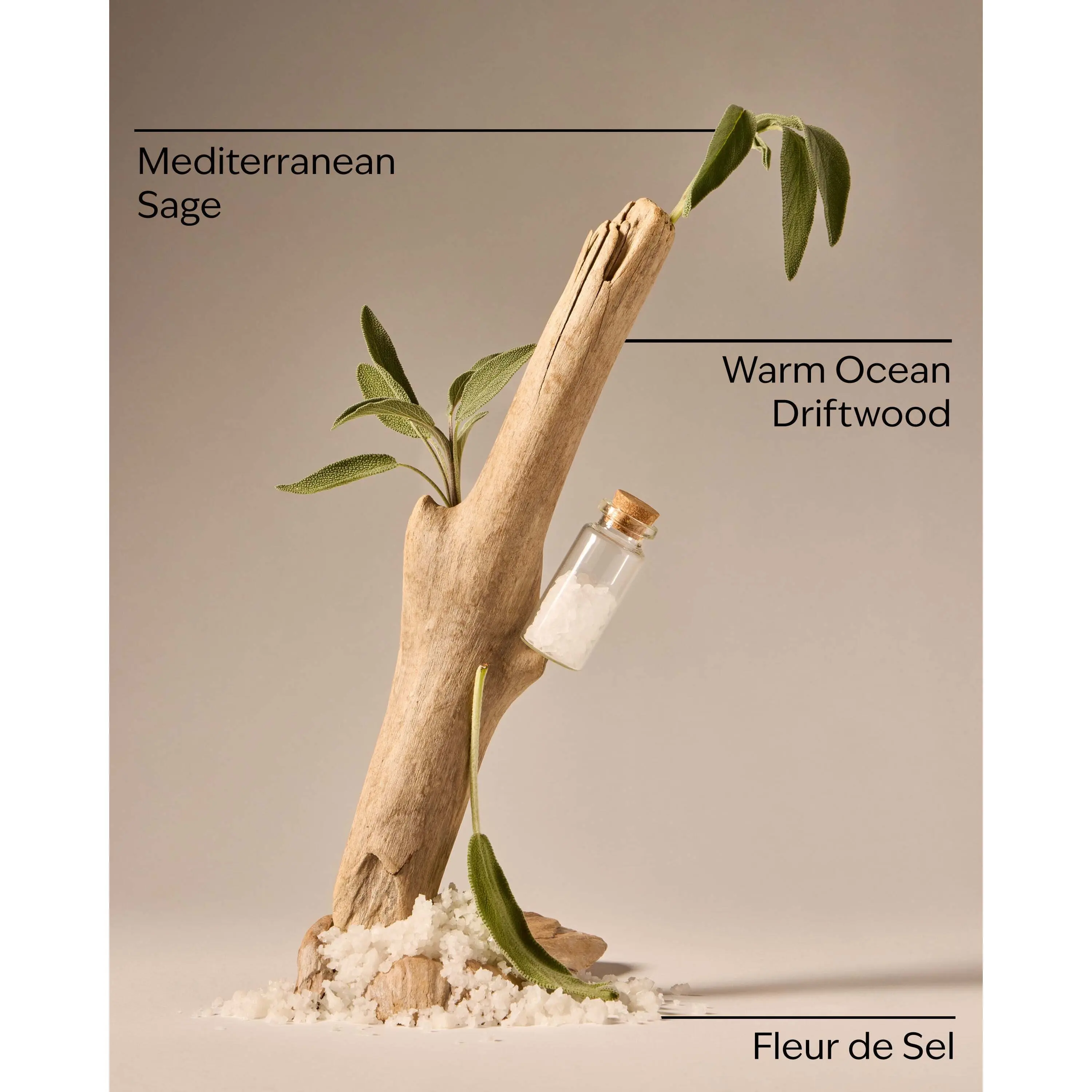 Sea Salt & Driftwood Wallflowers Fragrance Refill - Image 3