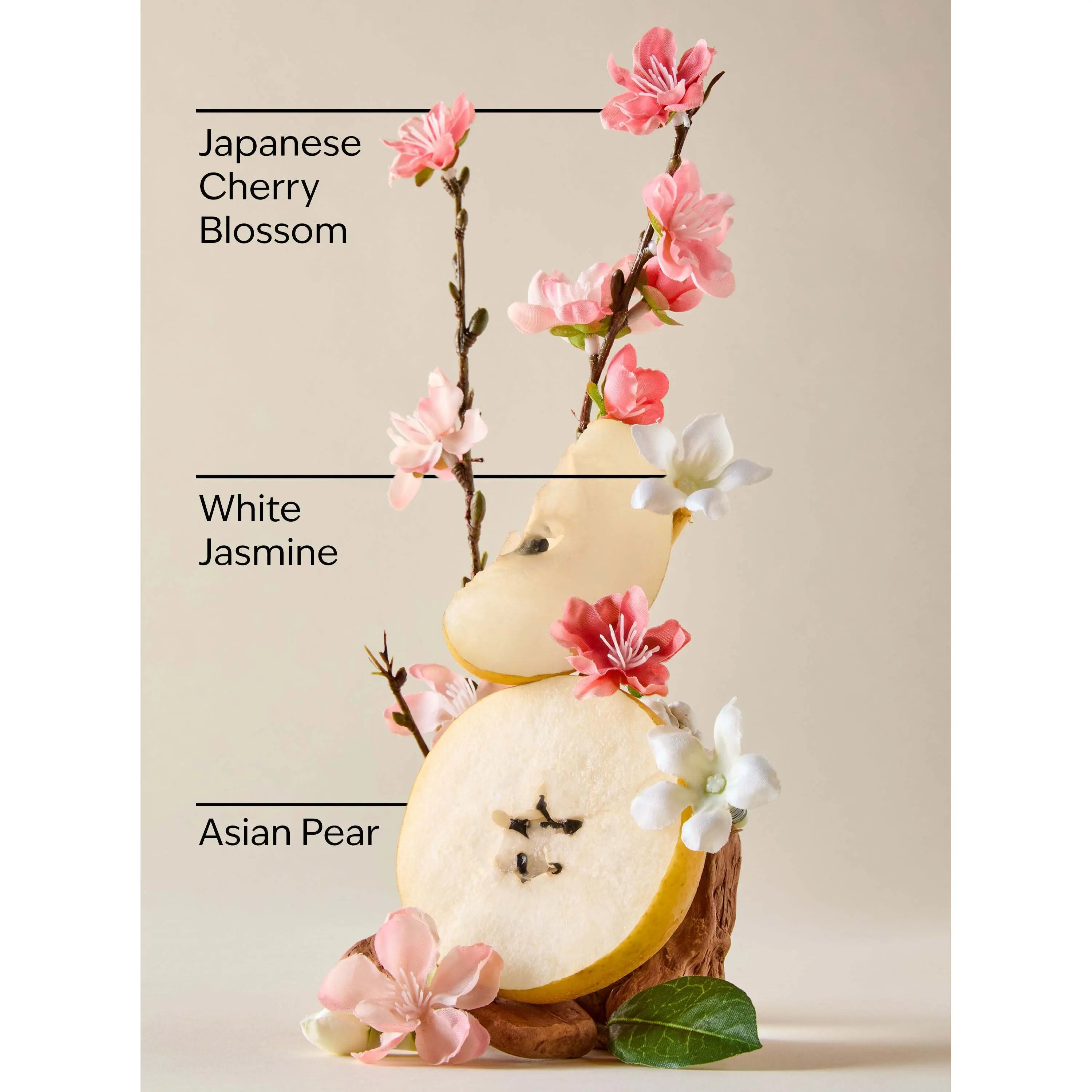 Japanese Cherry Blossom Body Wash - Image 3
