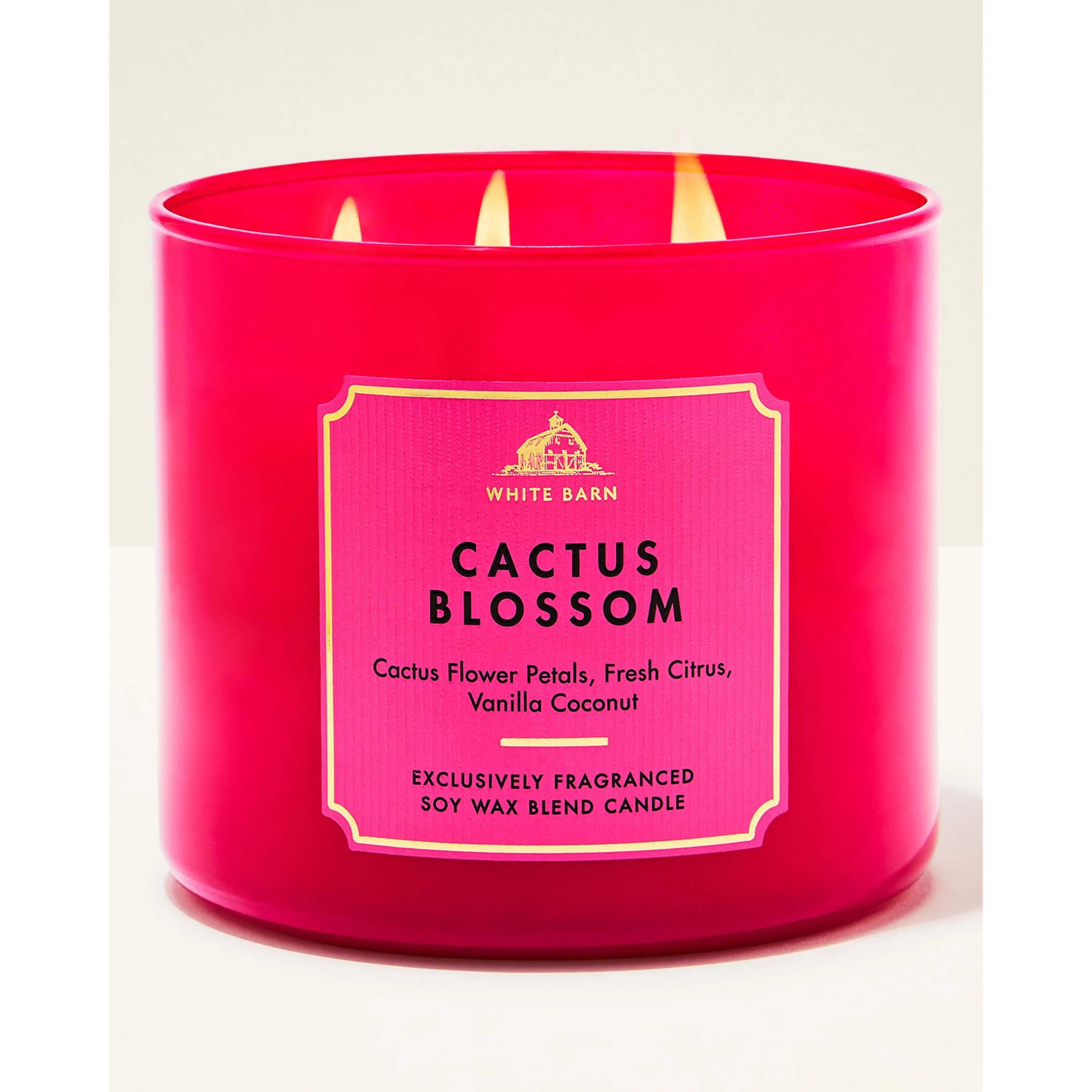 Cactus Blossom 3-Wick Candle