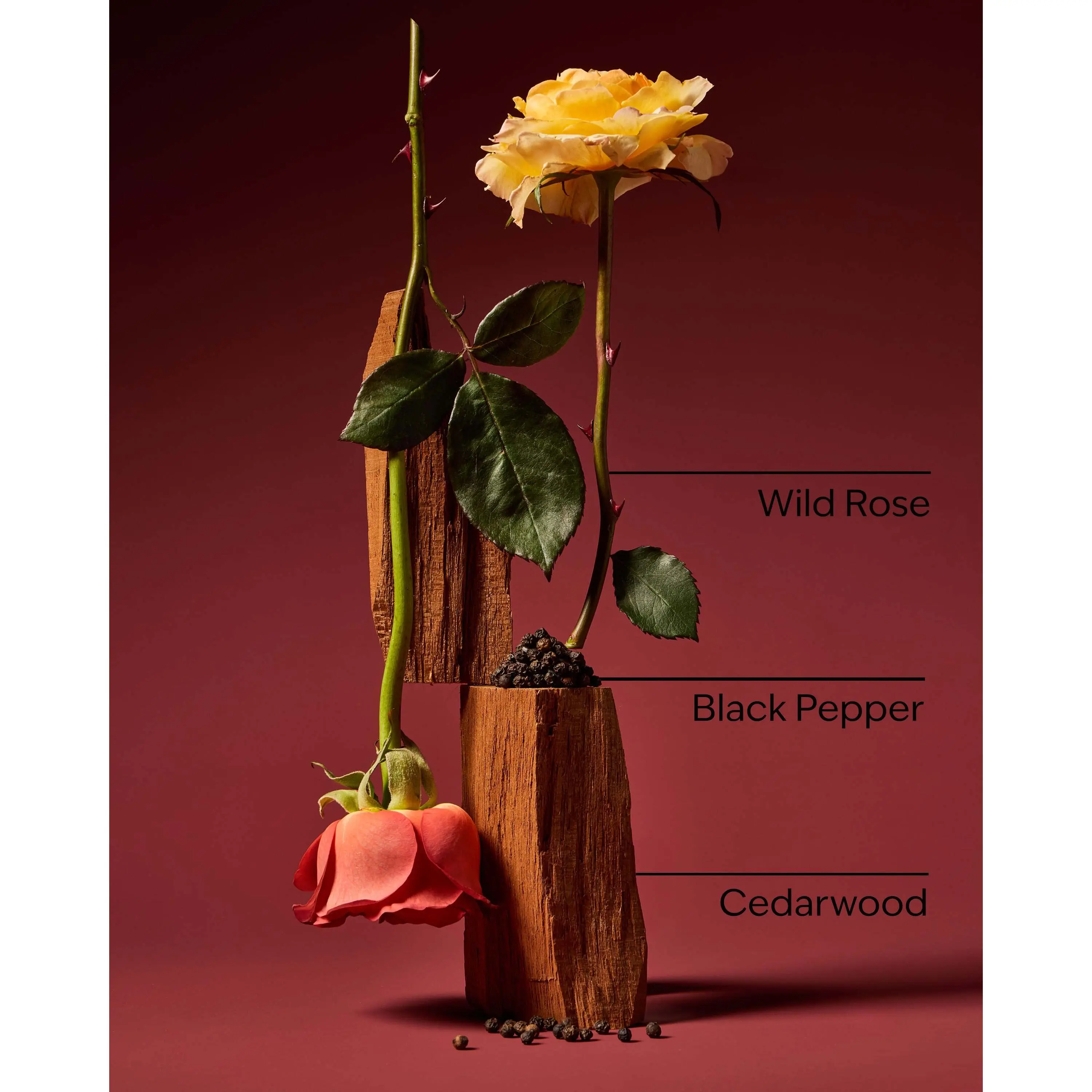 Nocturnal Rose Wallflowers Fragrance Refill - Image 3