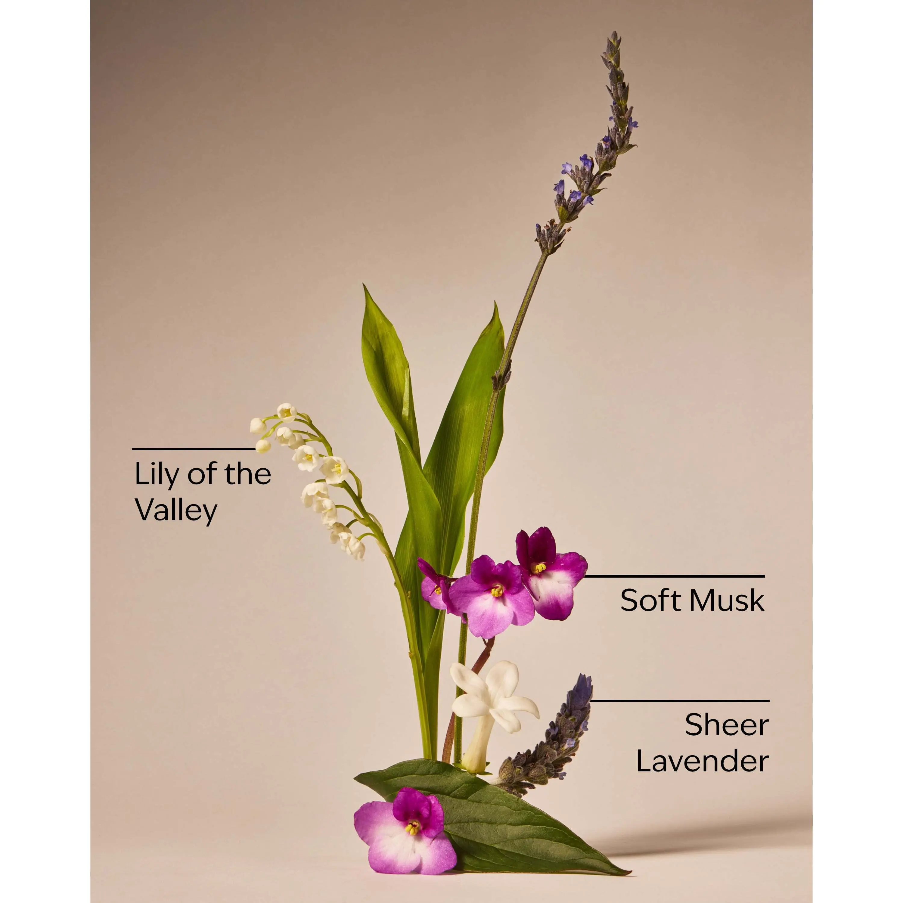 Moonlight Path Fine Fragrance Mist - Image 3
