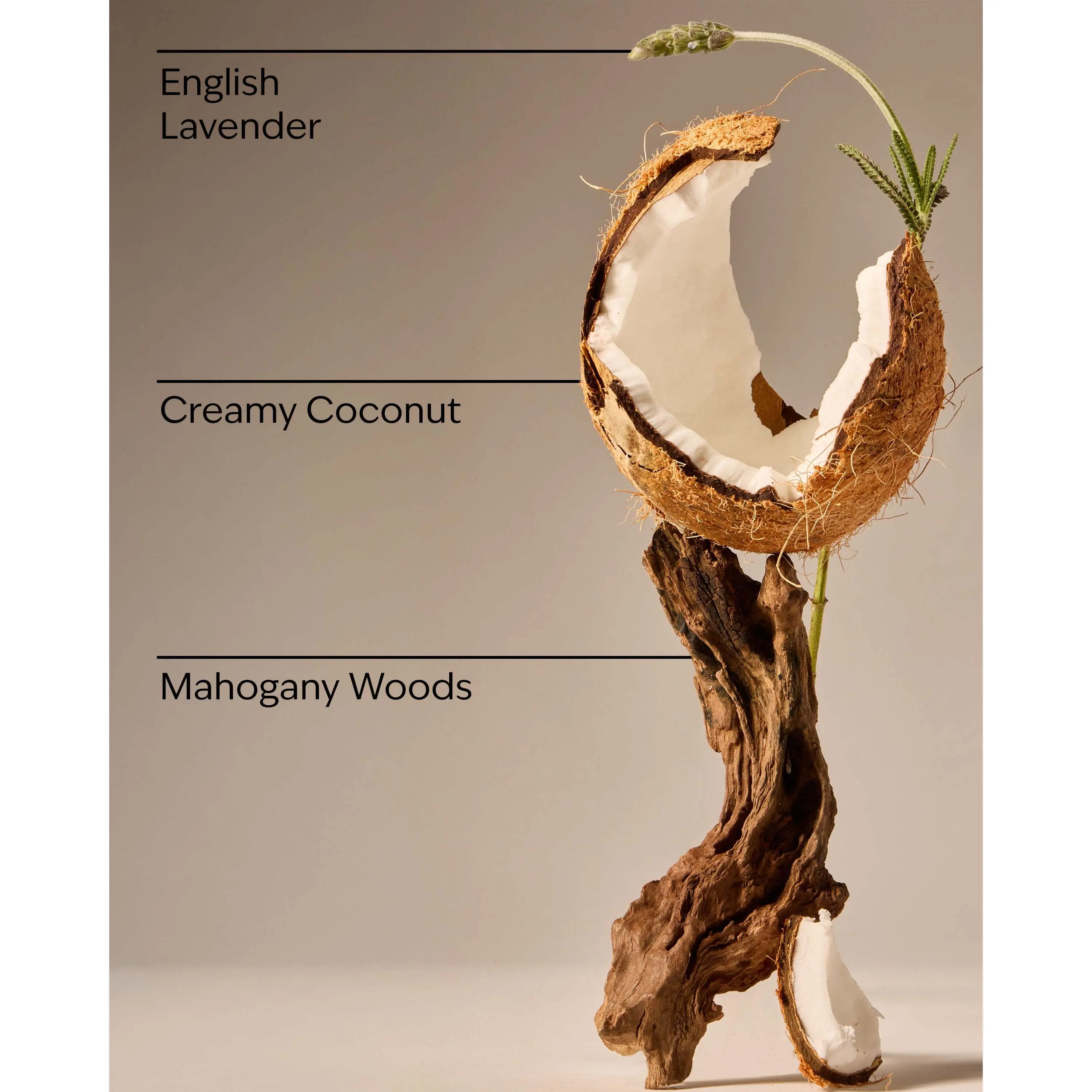 Mahogany Coconut Concentrated Room Spray - Image 3