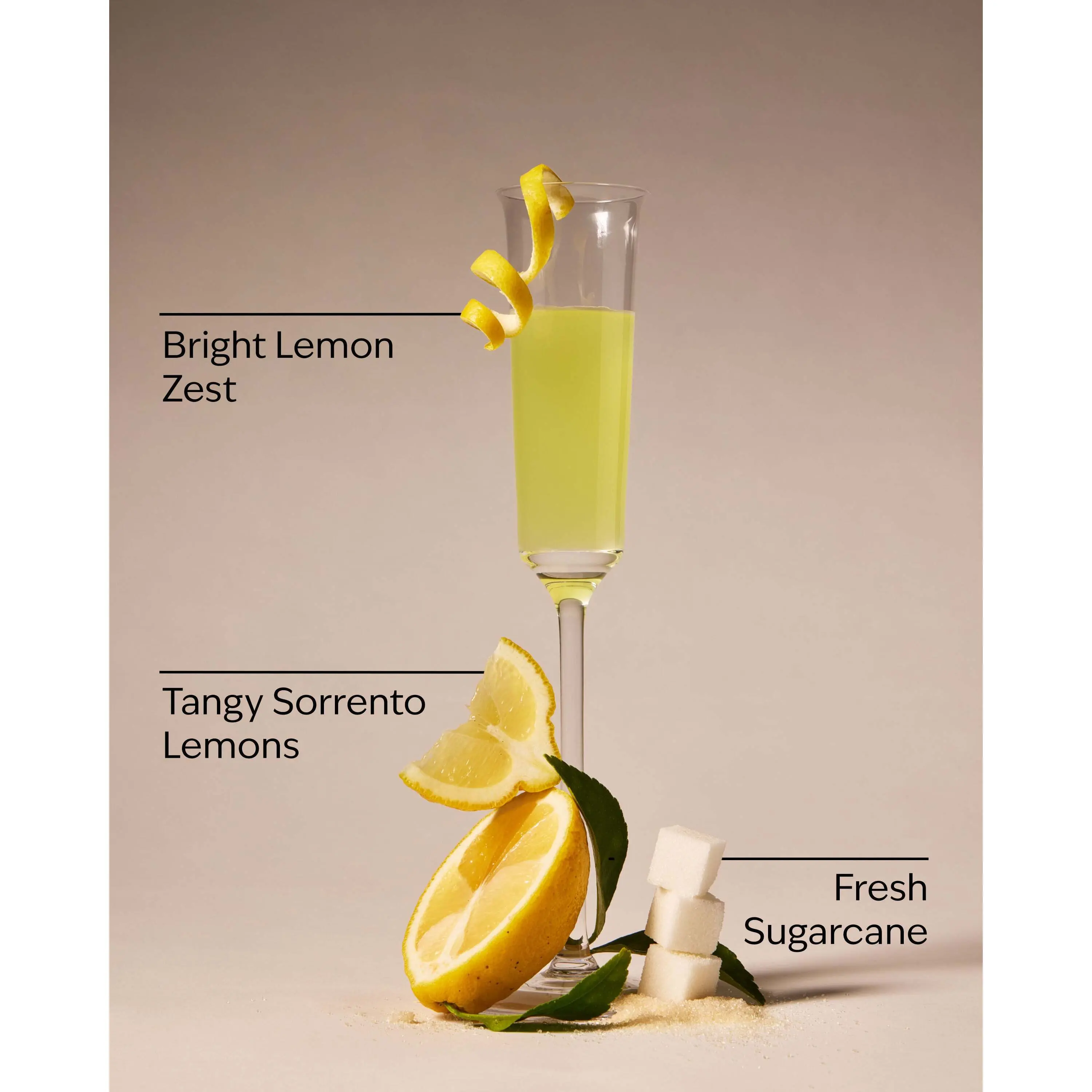 Limoncello Wallflowers Fragrance Refill - Image 3