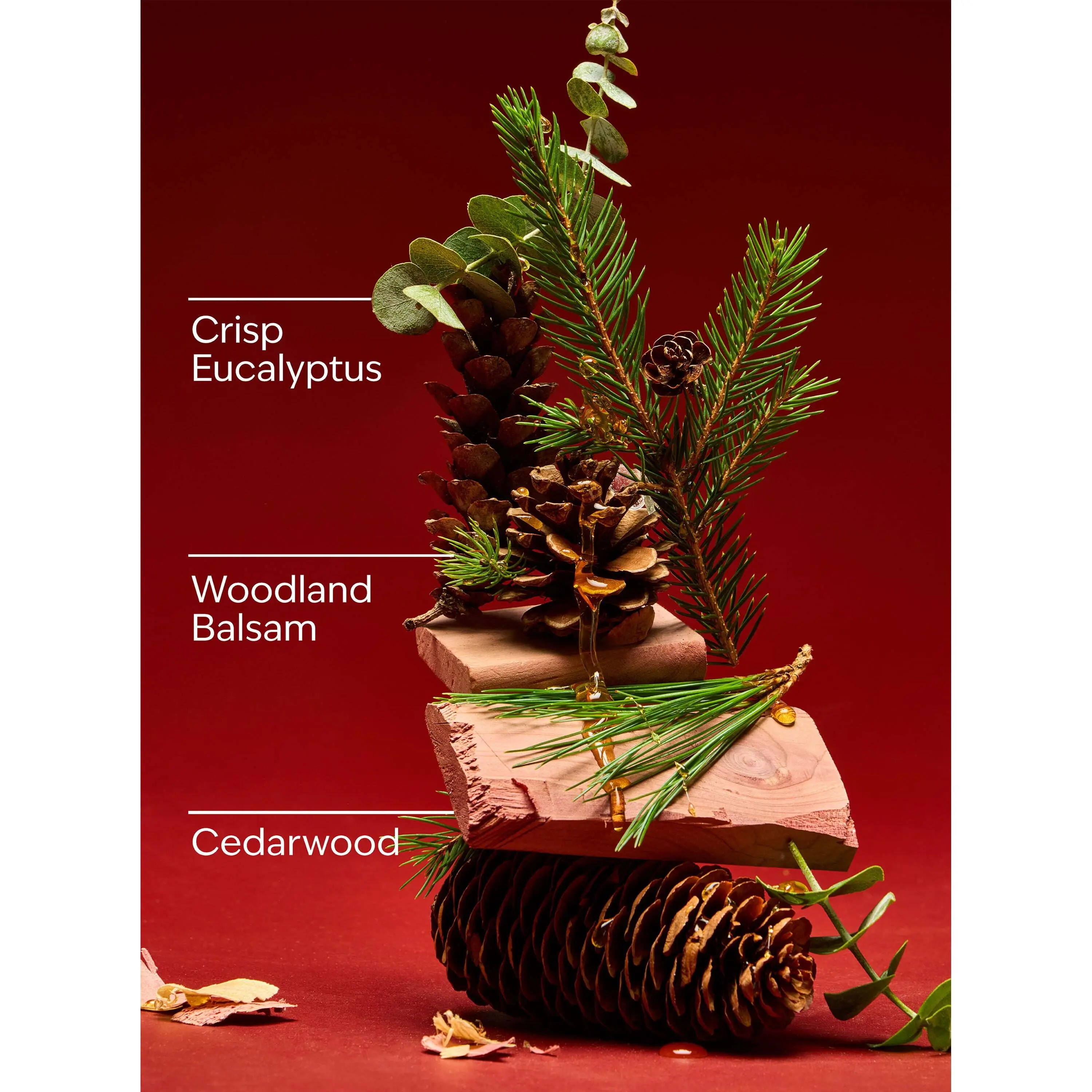 Fresh Balsam 3-Wick Candle - Image 3