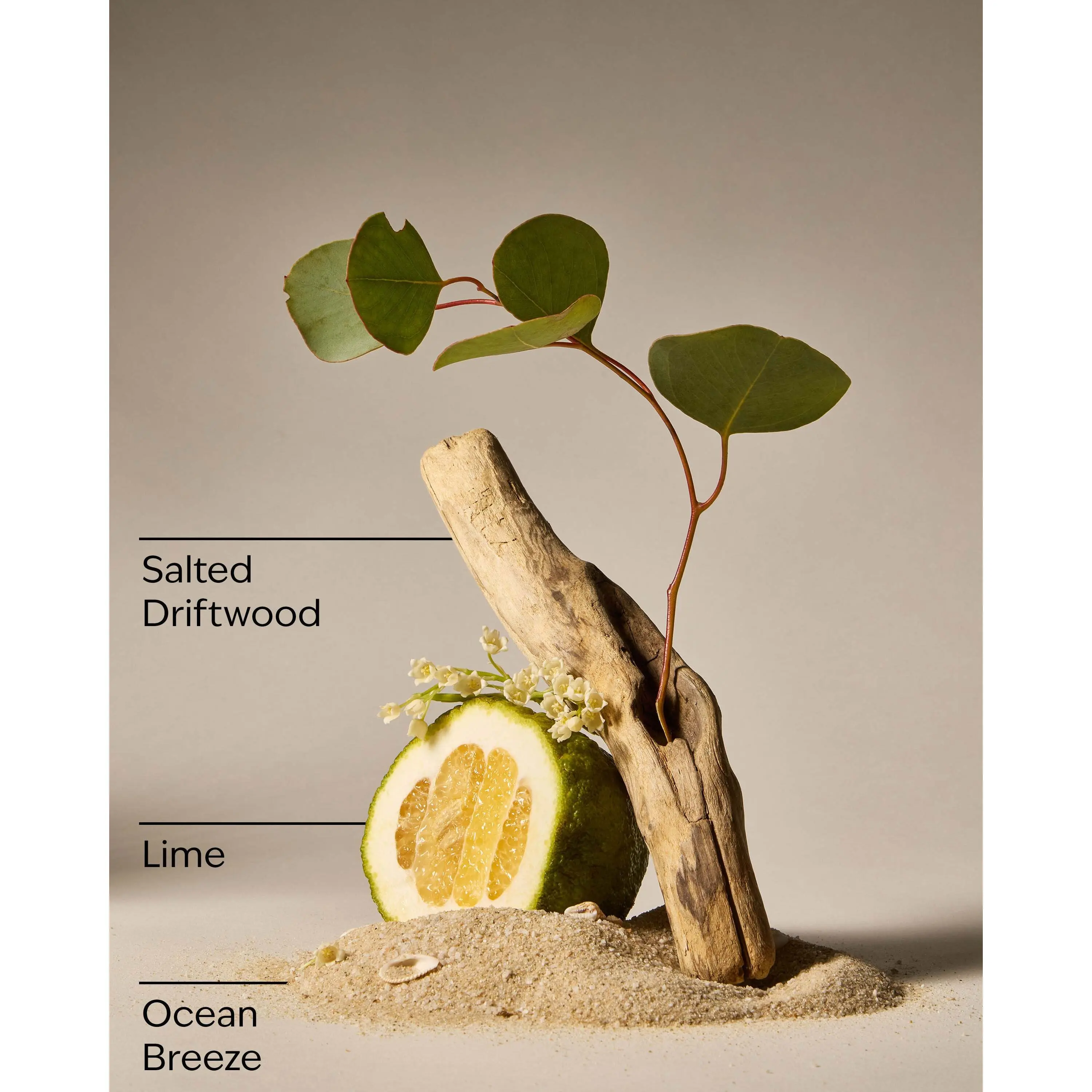 Sea Salt Coast 3-Wick Candle - Image 3