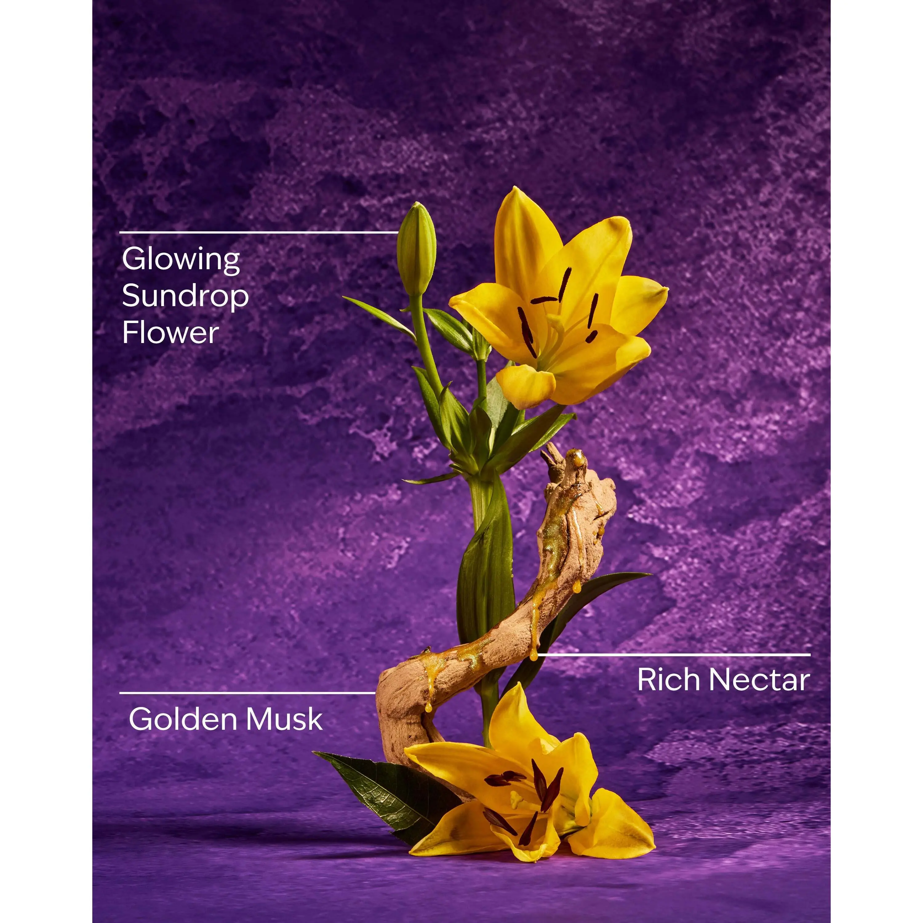 Rapunzel Wallflowers Fragrance Refill - Image 3