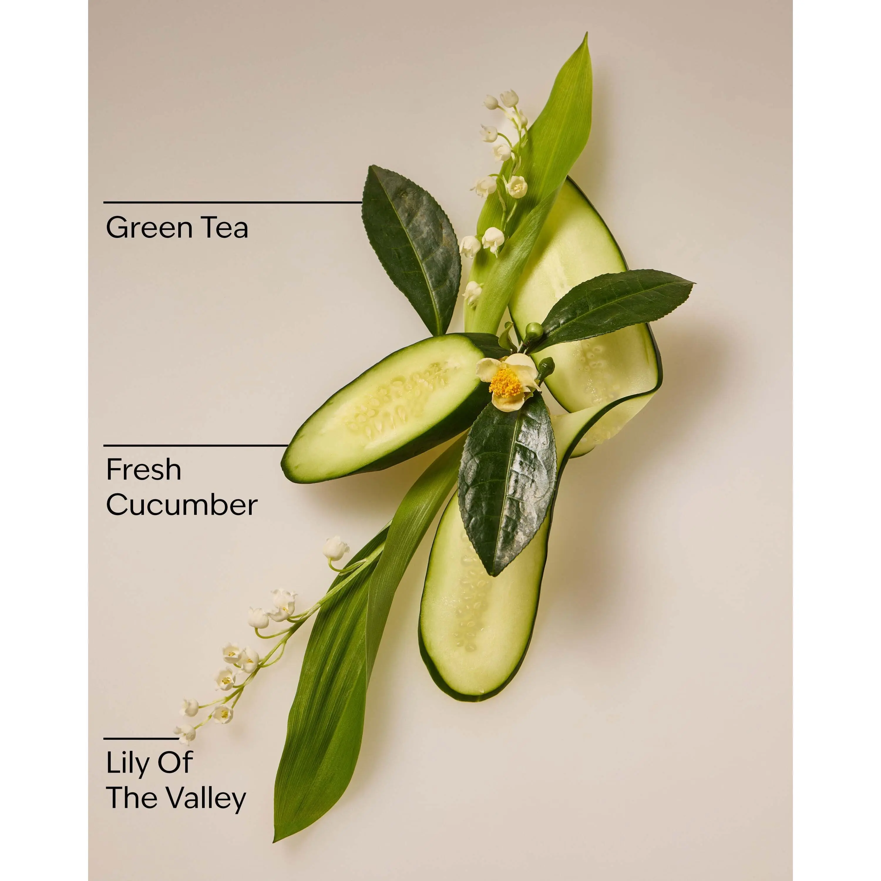 Cucumber & Lily Daily Moisturizing Hand Soap - Image 3