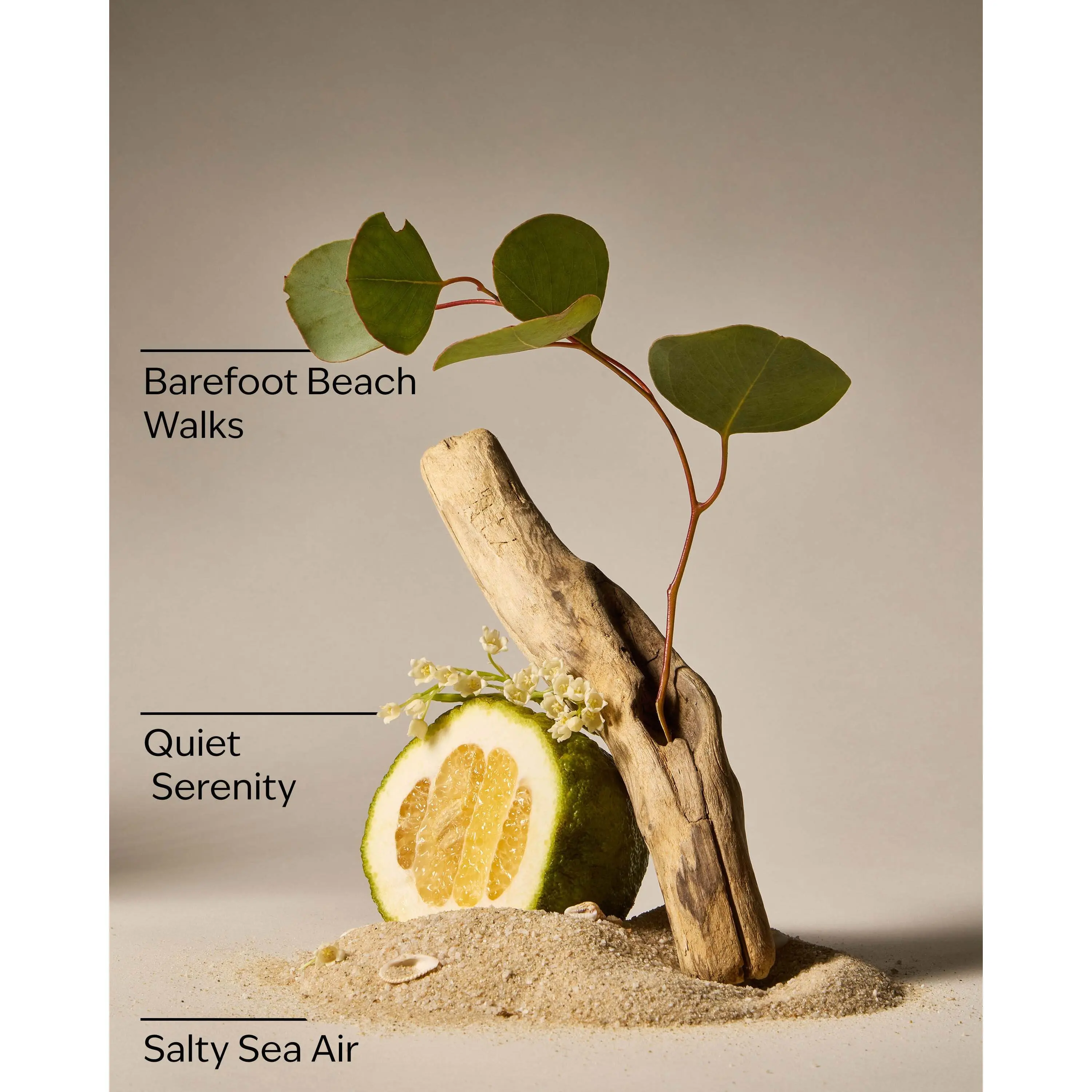 Ocean Town Bound Wallflowers Fragrance Refill - Image 3