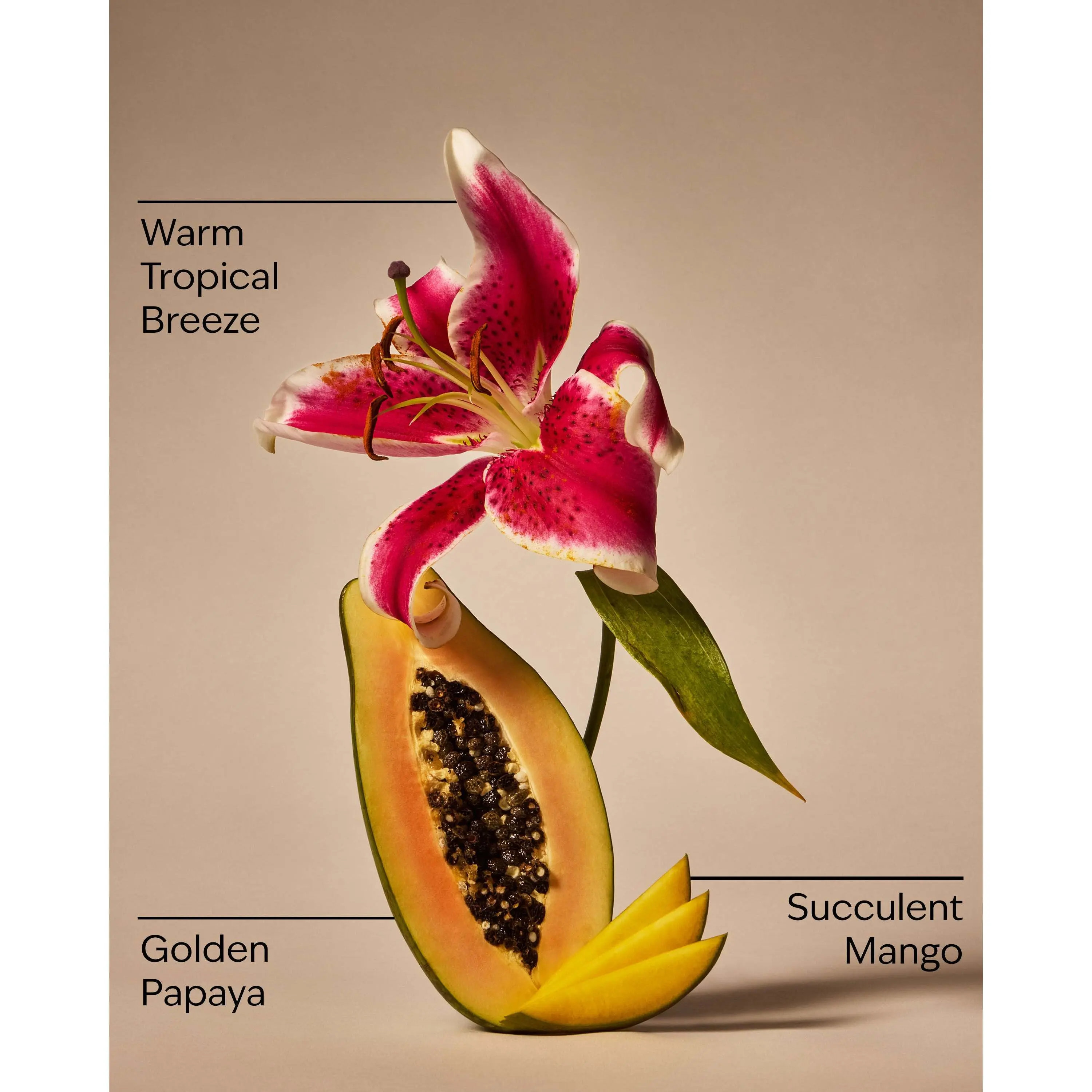 Mango Papaya Paradise Gentle & Clean Foaming Hand Soap - Image 3