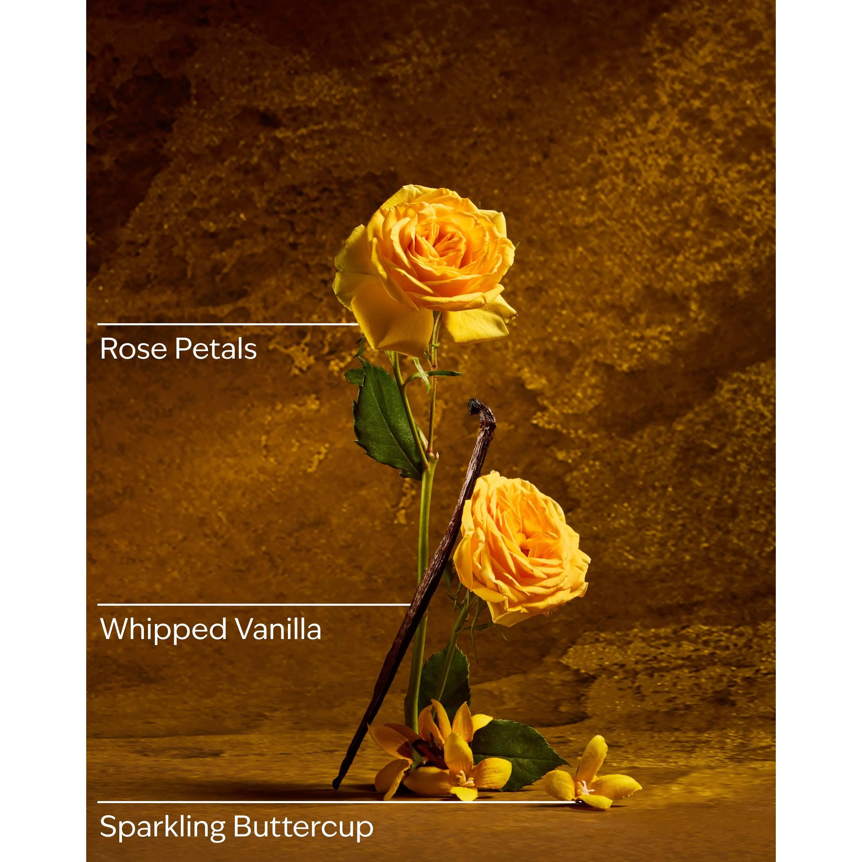 Belle Travel Size Fine Fragrance Mist - Image 3