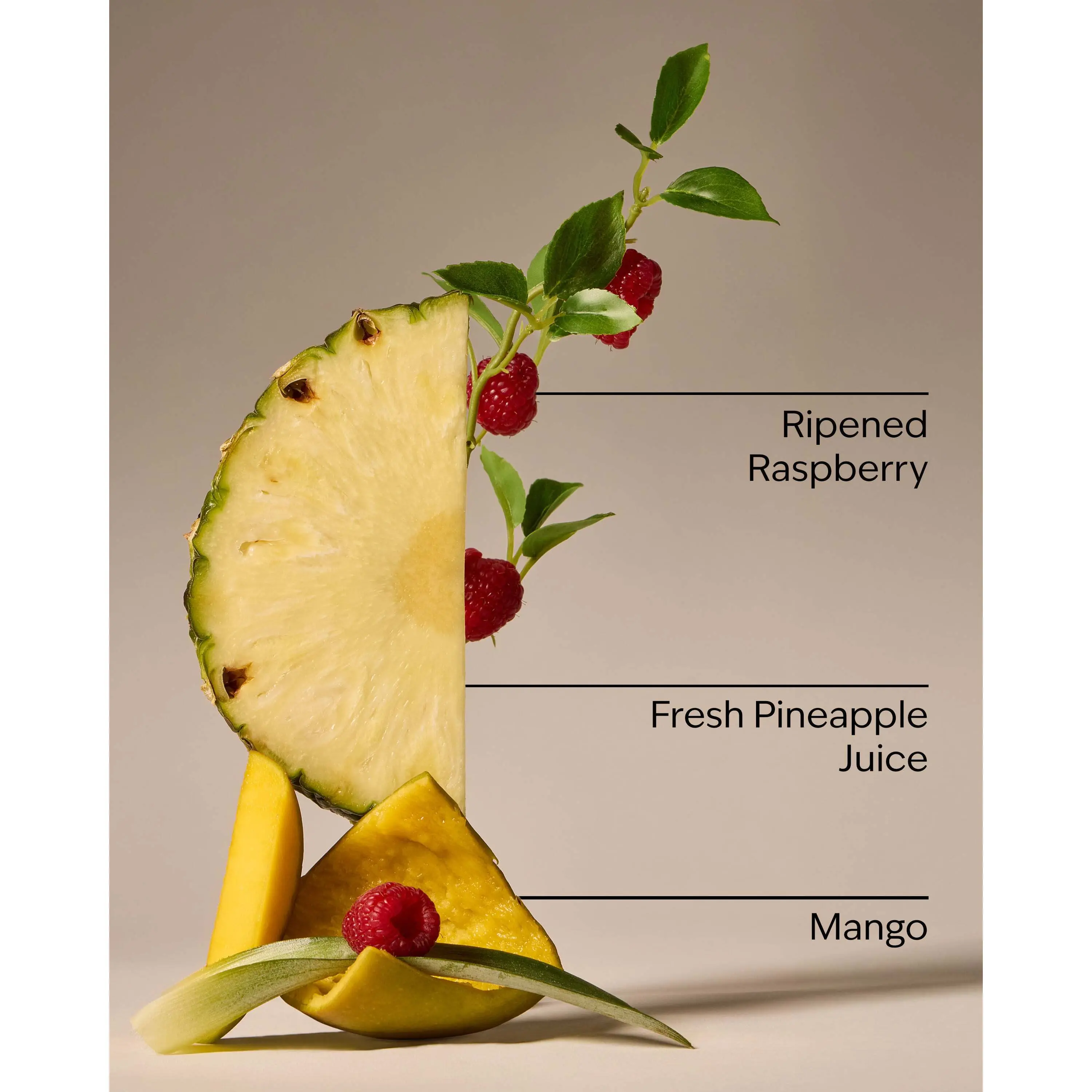 Pineapple Mango Wallflowers Fragrance Refill - Image 3