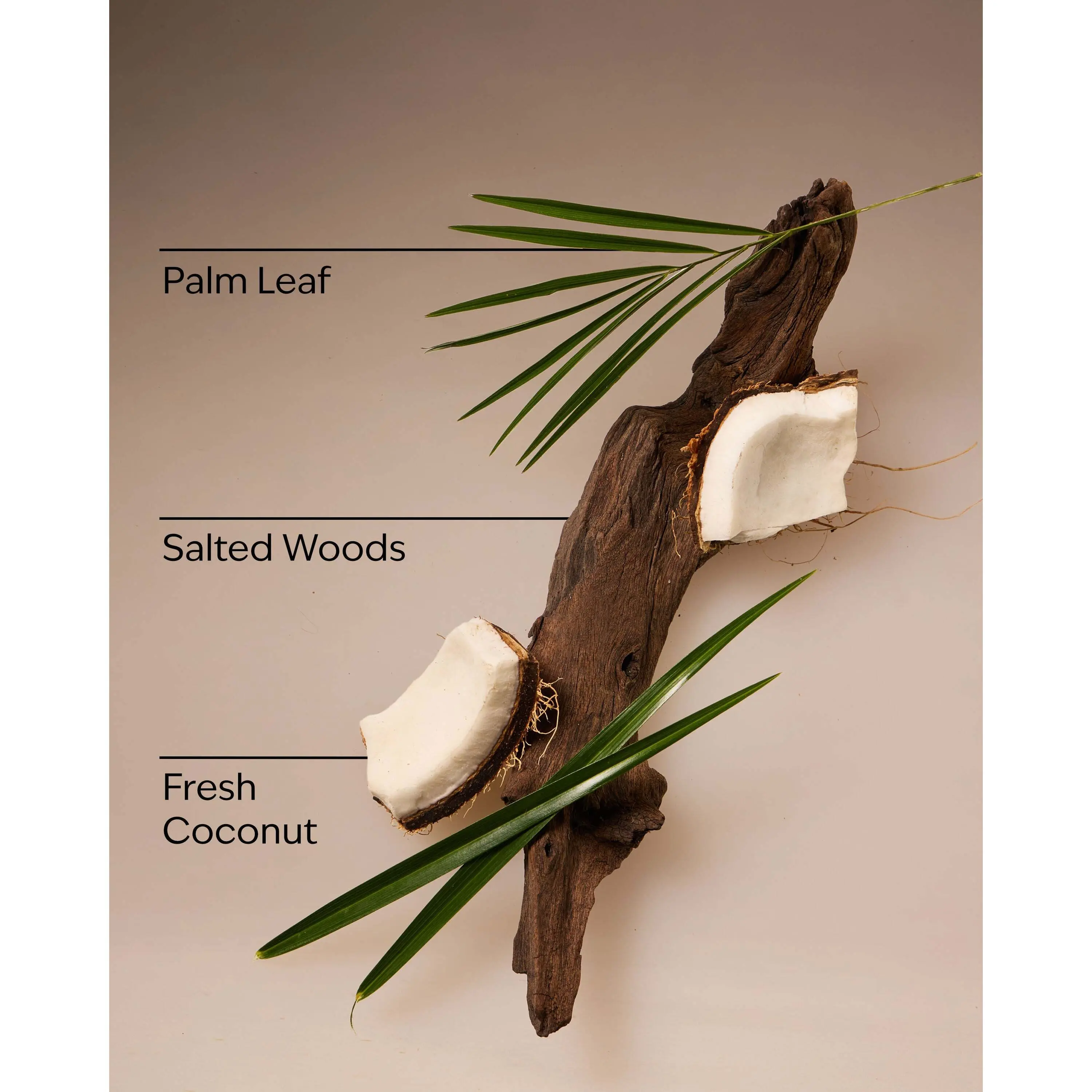 Coconut Nectar Travel Size Fine Fragrance Mist - Image 3