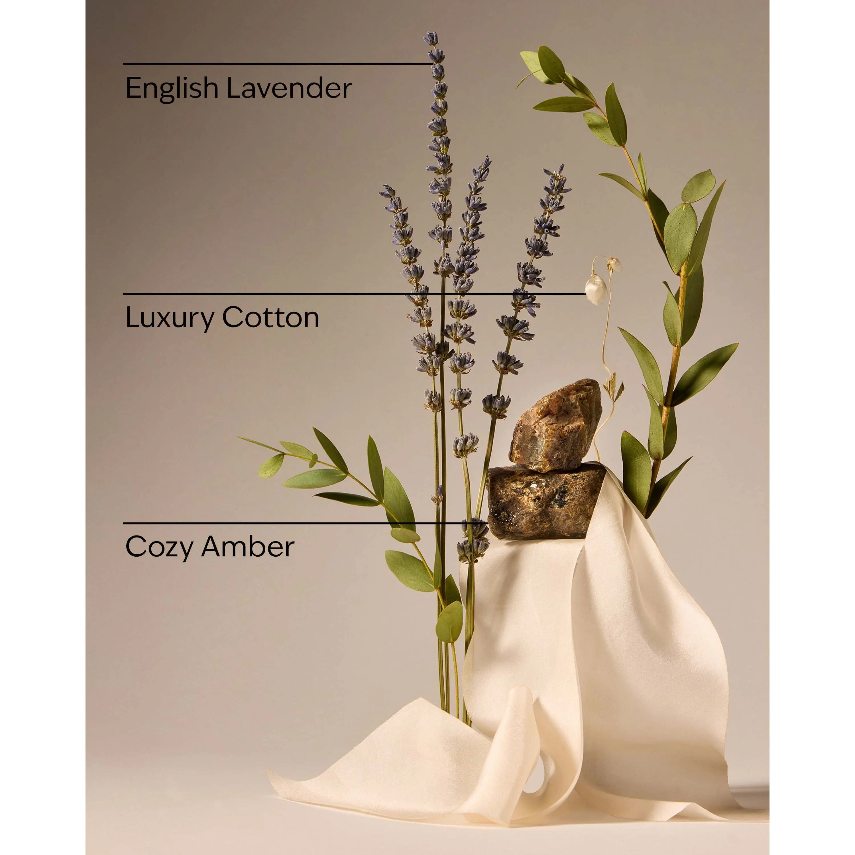 Clean House Vibes - Luxe Cotton Concentrated Room Spray - Image 3
