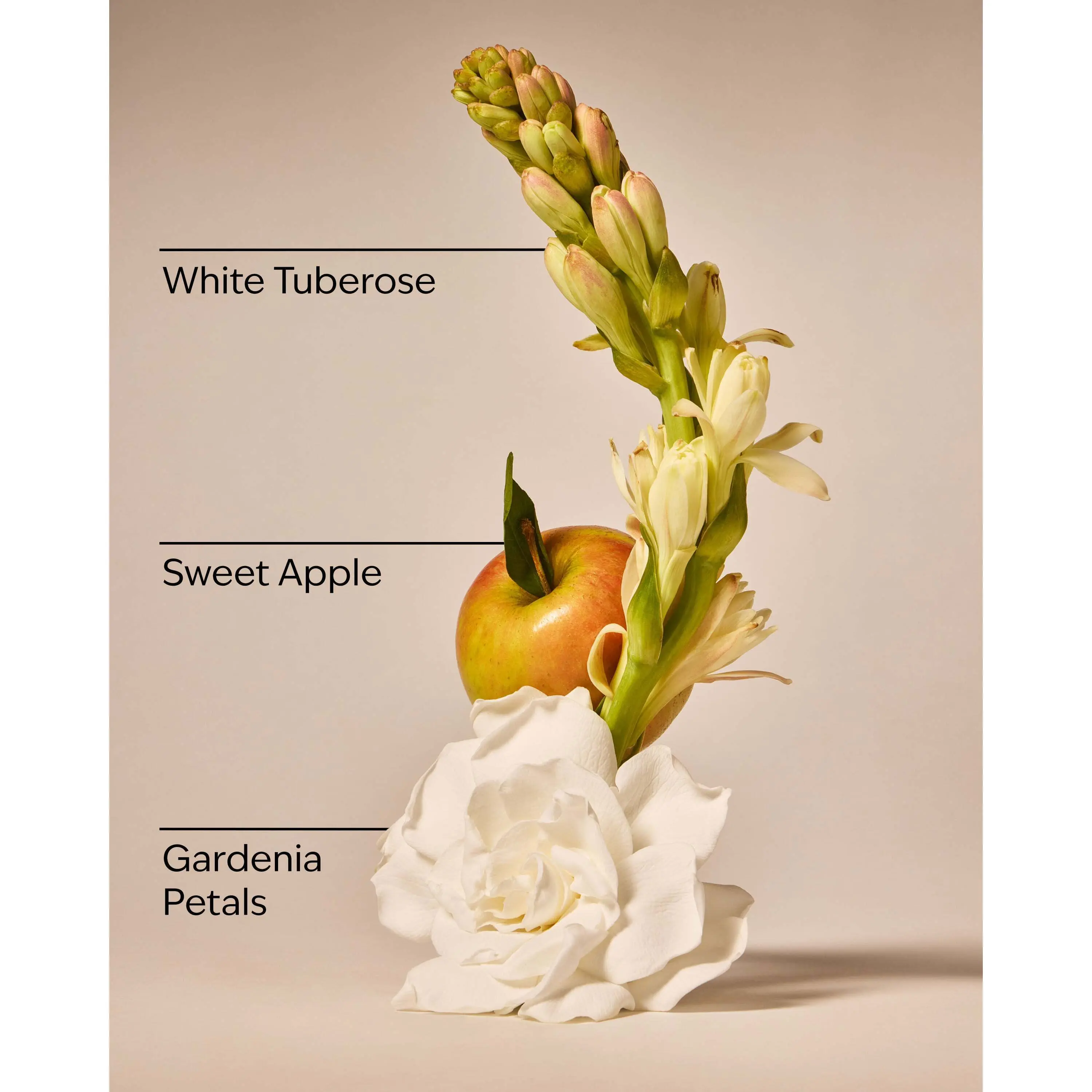 White Gardenia Wallflowers Fragrance Refill - Image 3