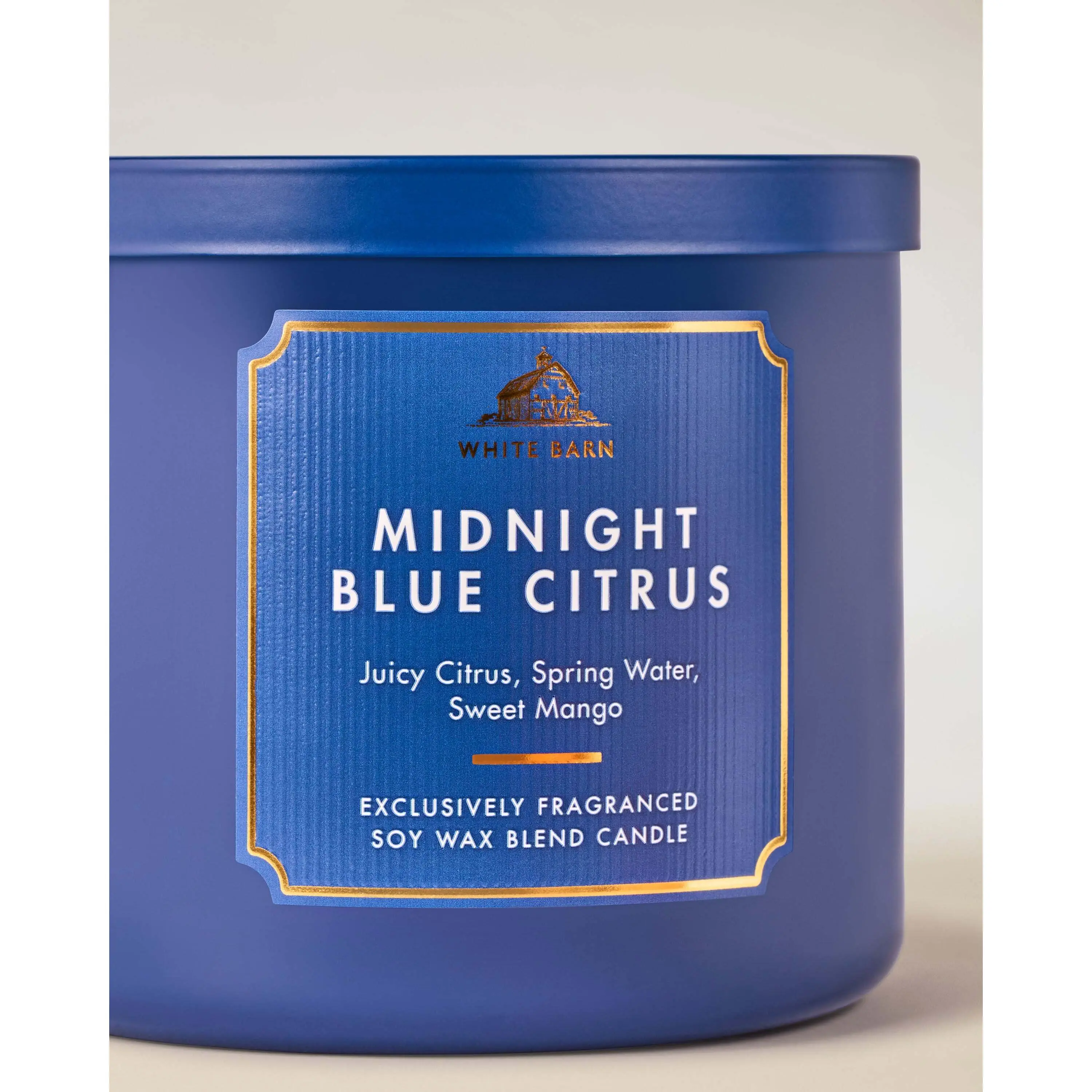Midnight Blue Citrus 3-Wick Candle - Image 2