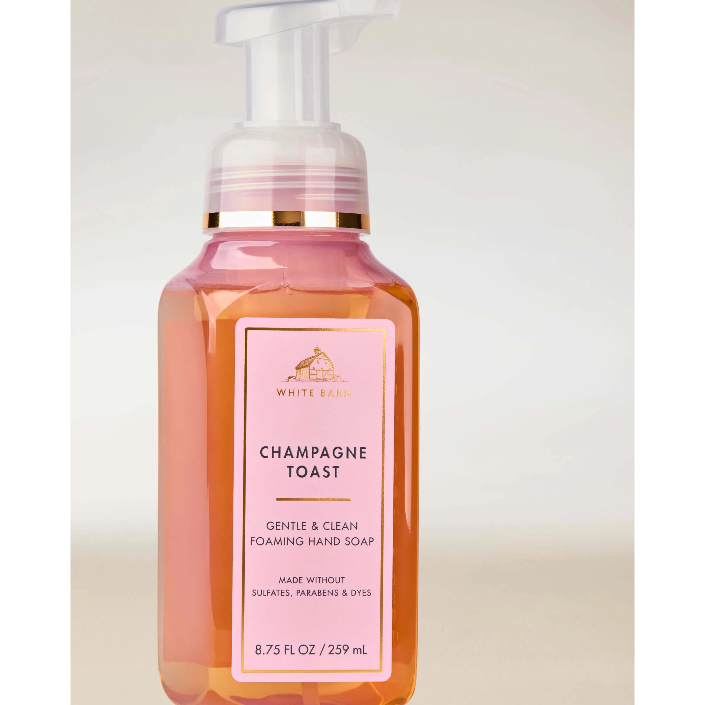 Champagne Toast Gentle & Clean Foaming Hand Soap - Image 2