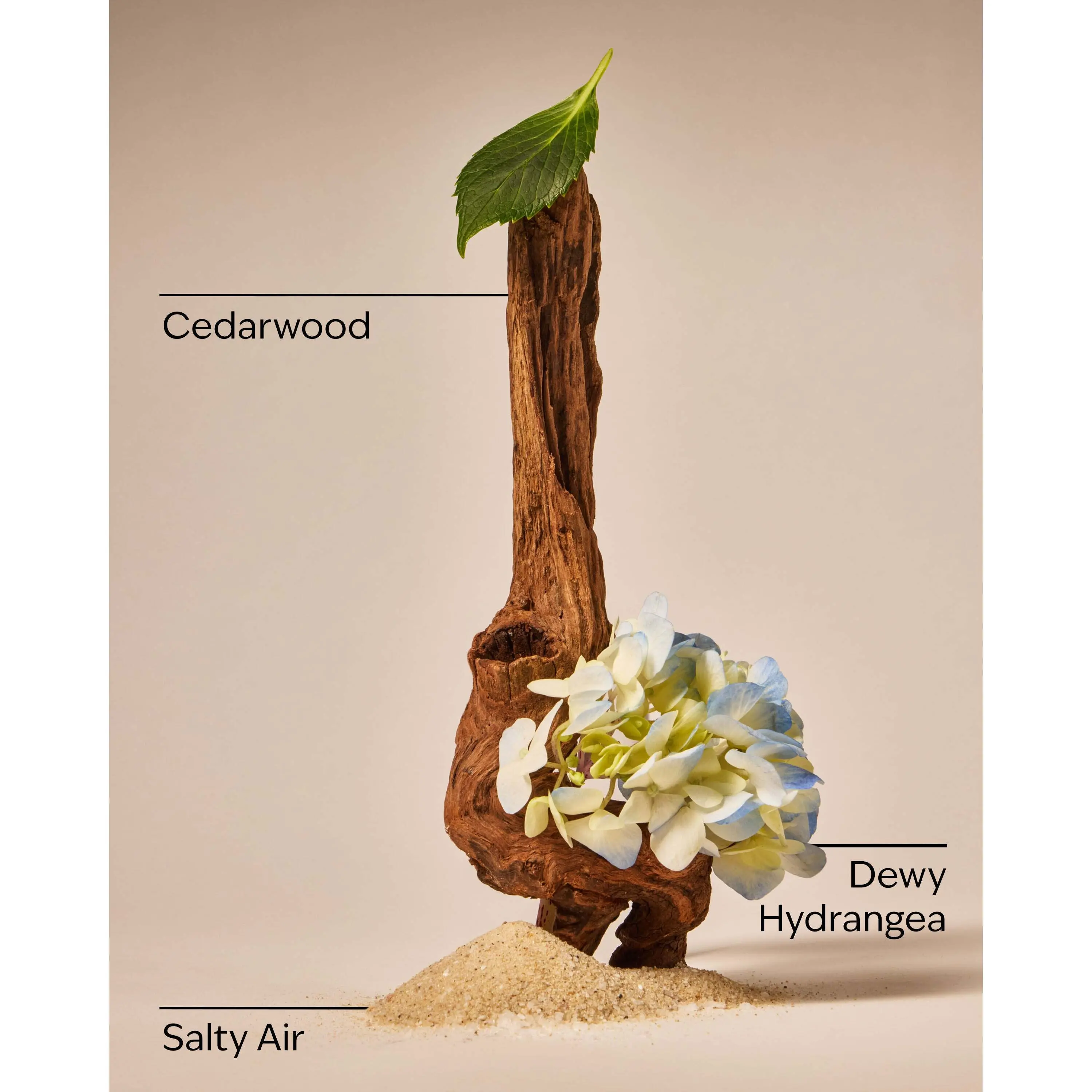 Shoreline Hydrangea 3-Wick Candle - Image 3