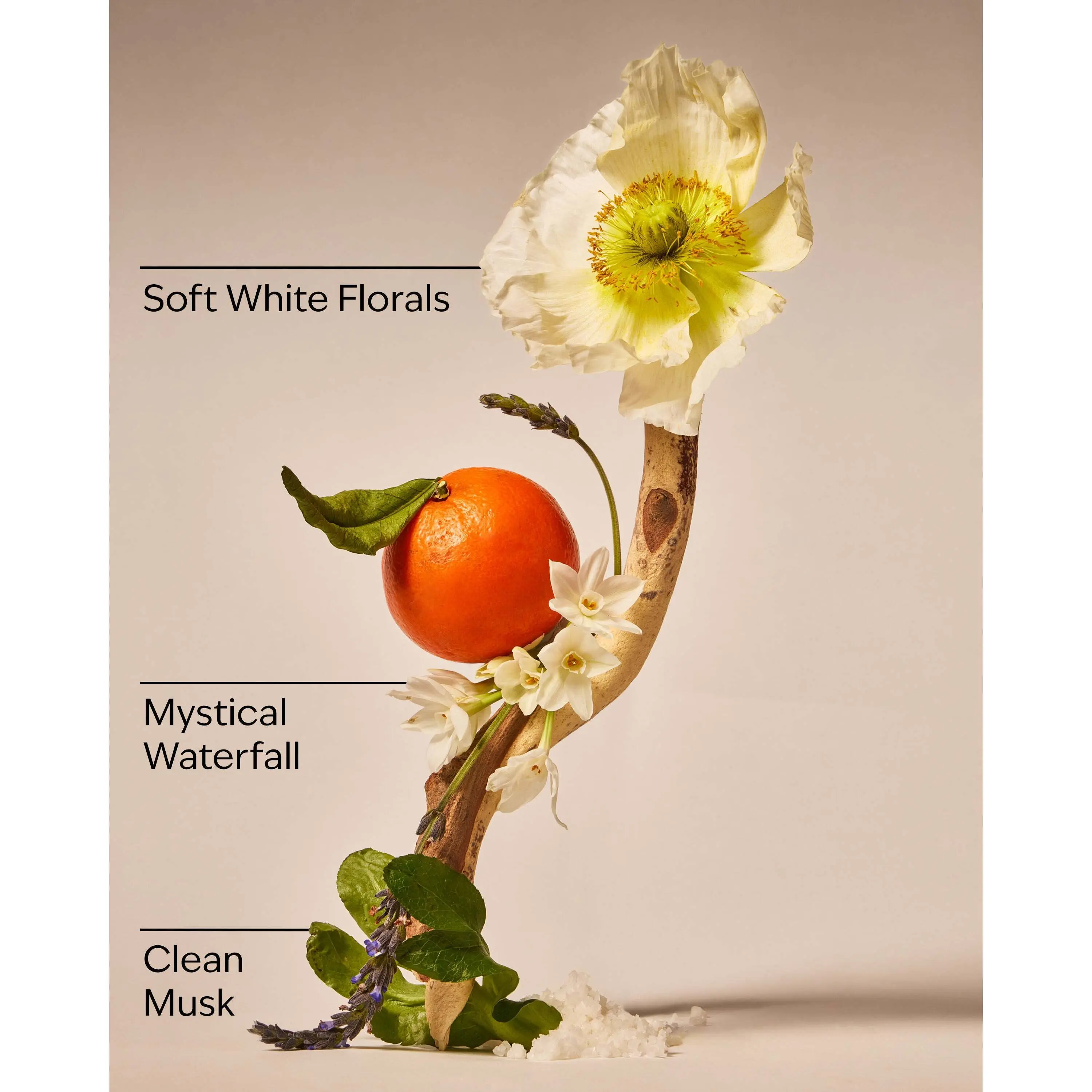 Enchanted Waterfalls Wallflowers Refills 2-Pack - Image 3