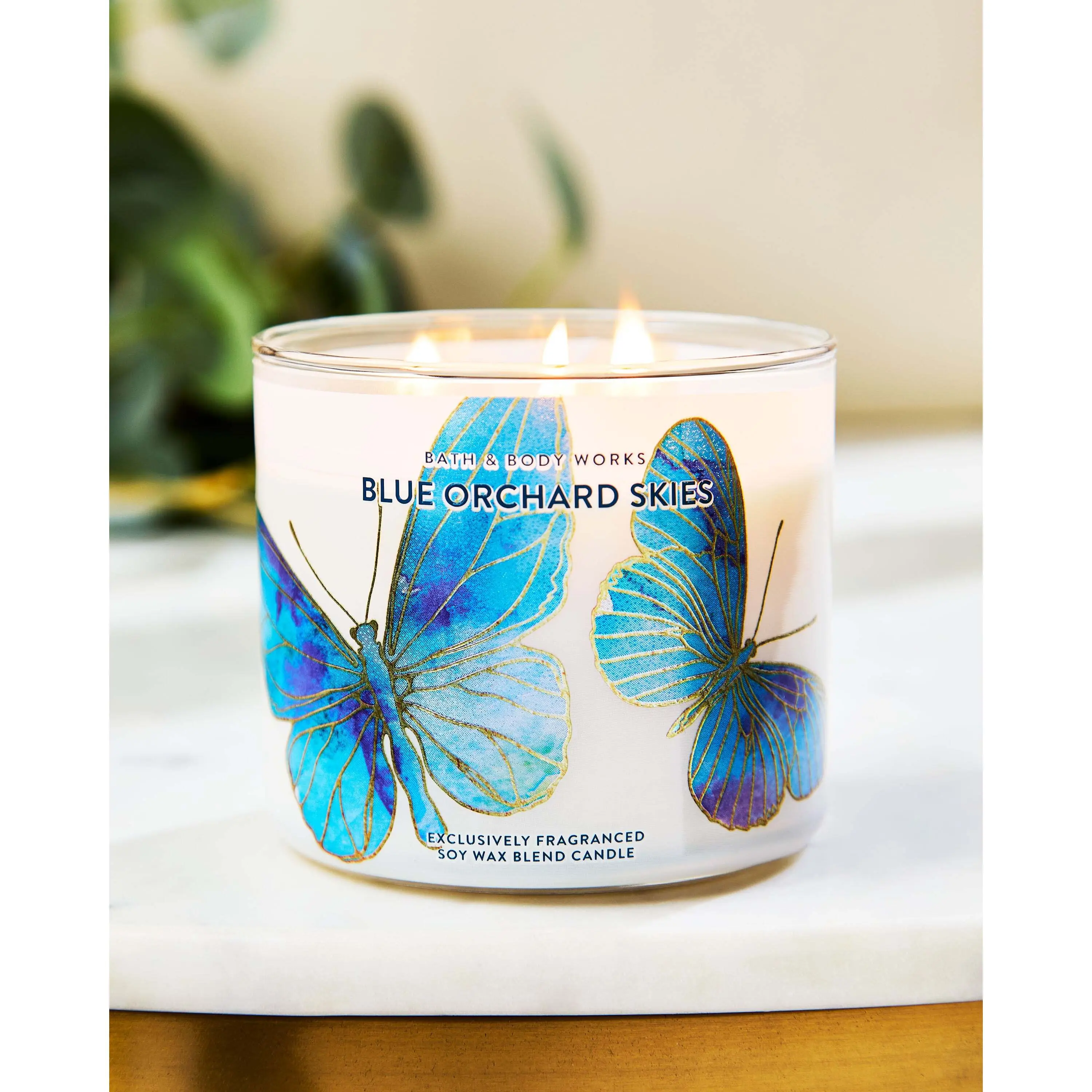 Blue Orchard Skies 3-Wick Candle - Image 6