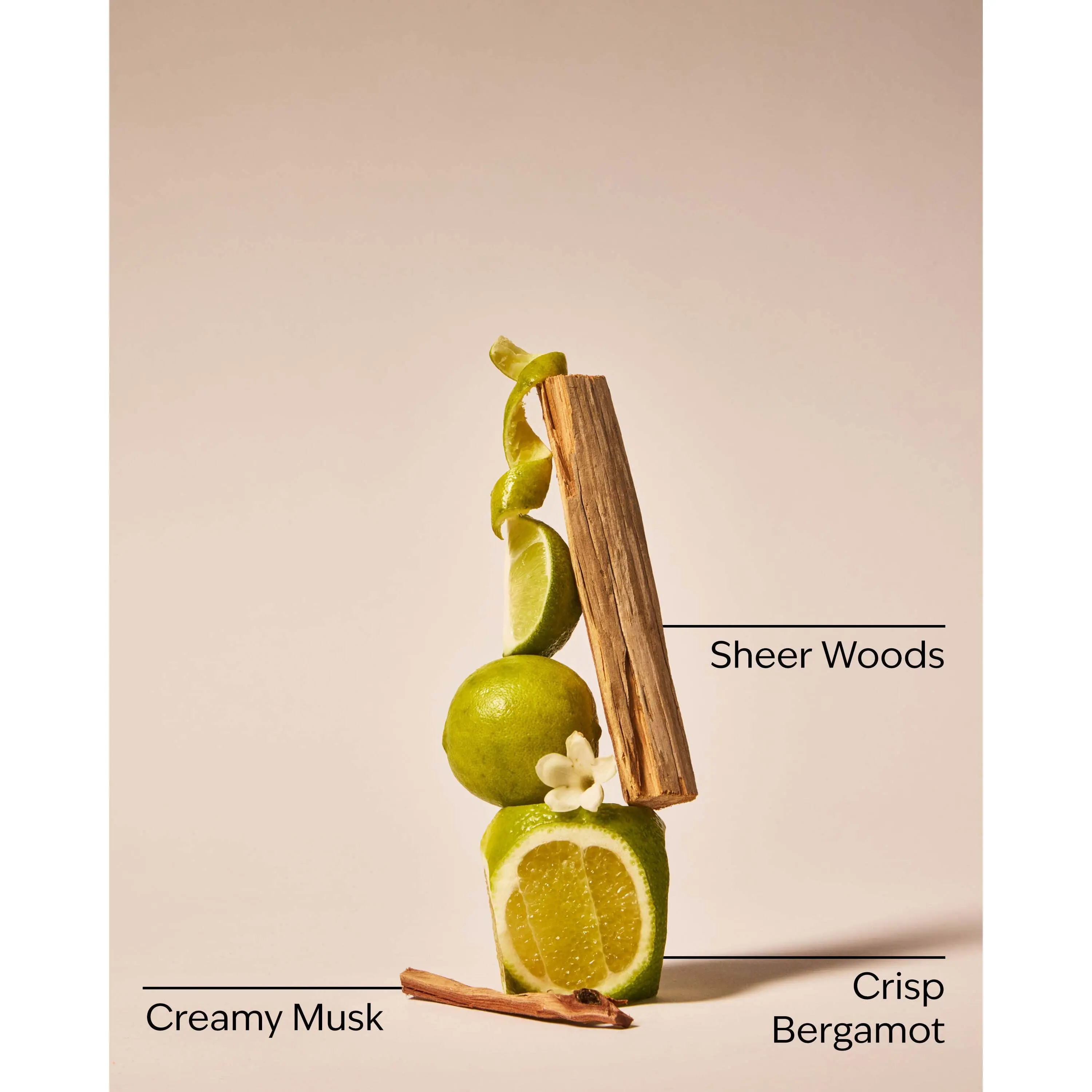 Fresh Musk Fine Fragrance Mist - Image 3