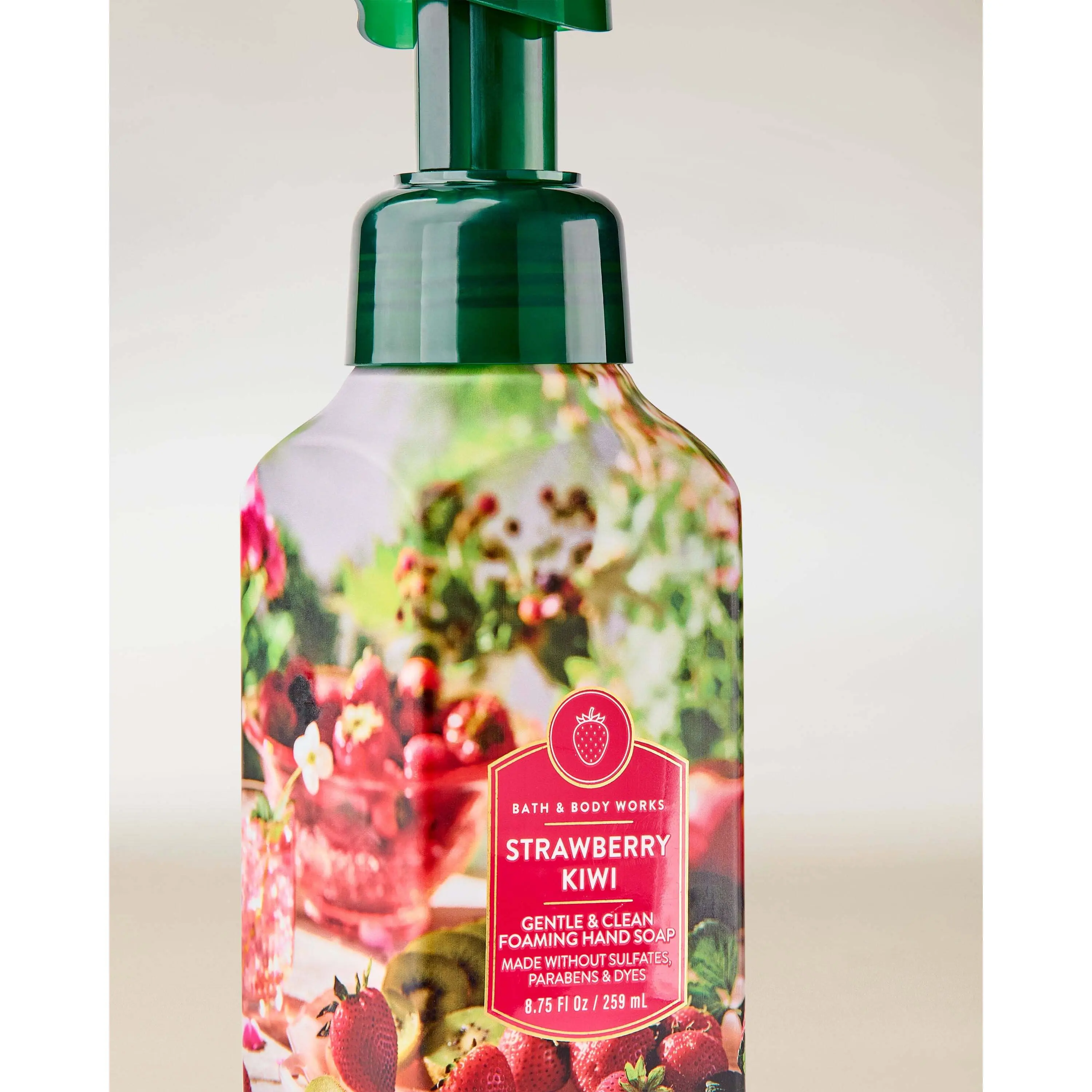 Strawberry Kiwi Gentle & Clean Foaming Hand Soap - Image 2