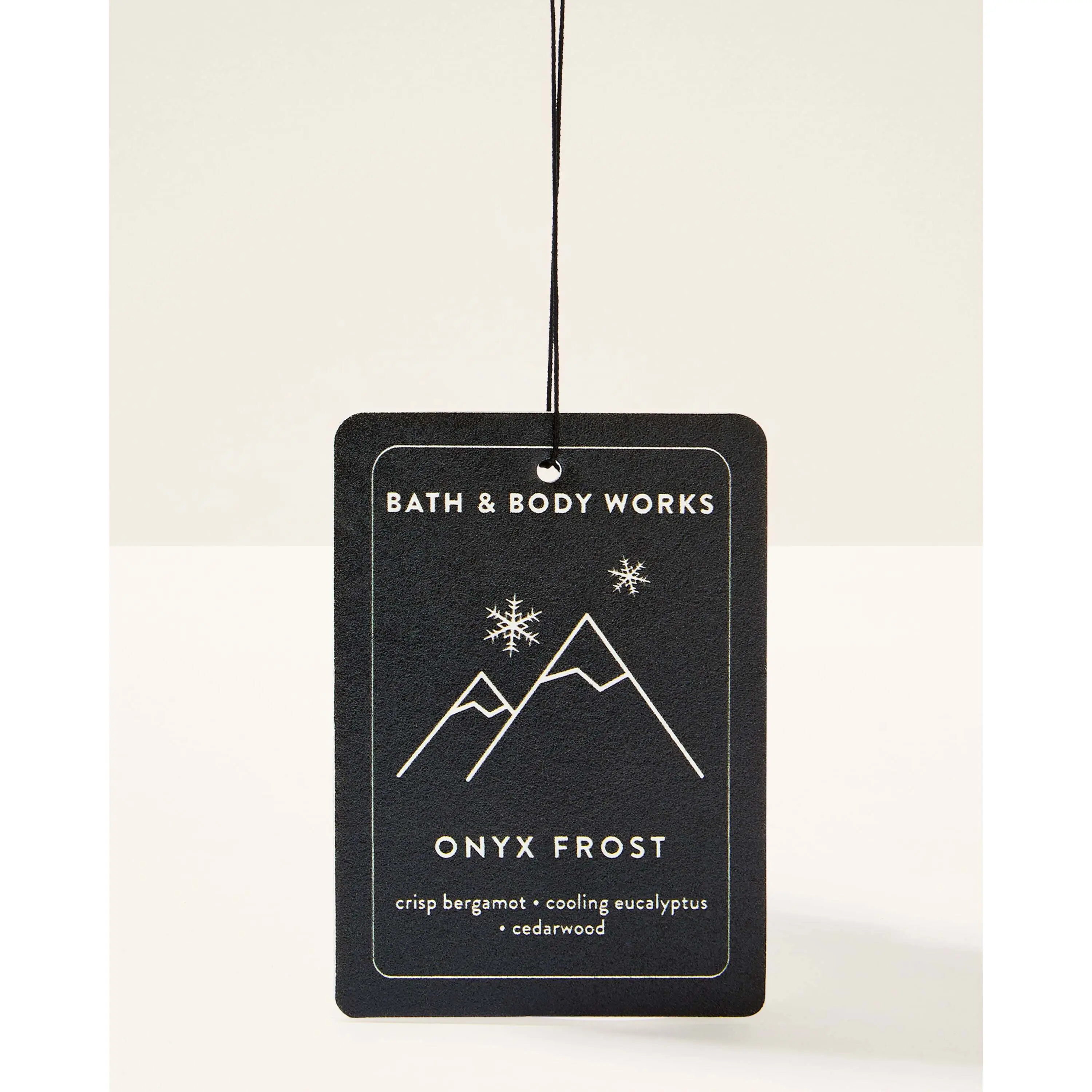 Onyx Frost Hanging Fragrance Diffuser