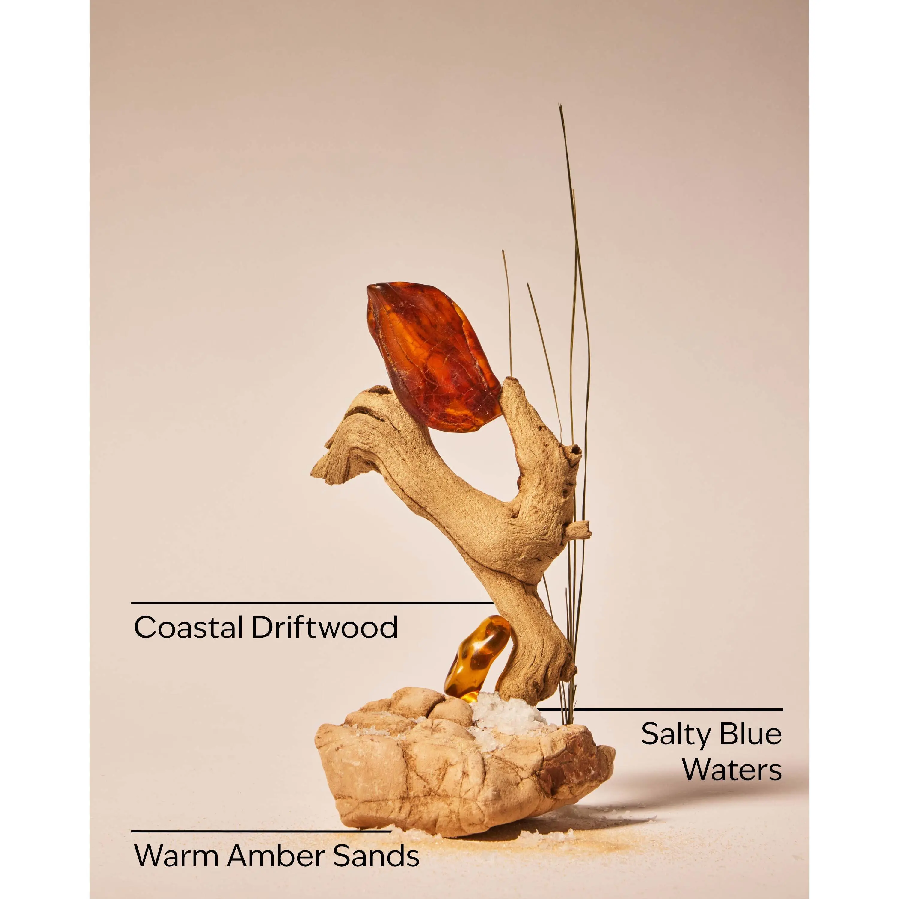 Sandbar Wallflowers Fragrance Refill - Image 3