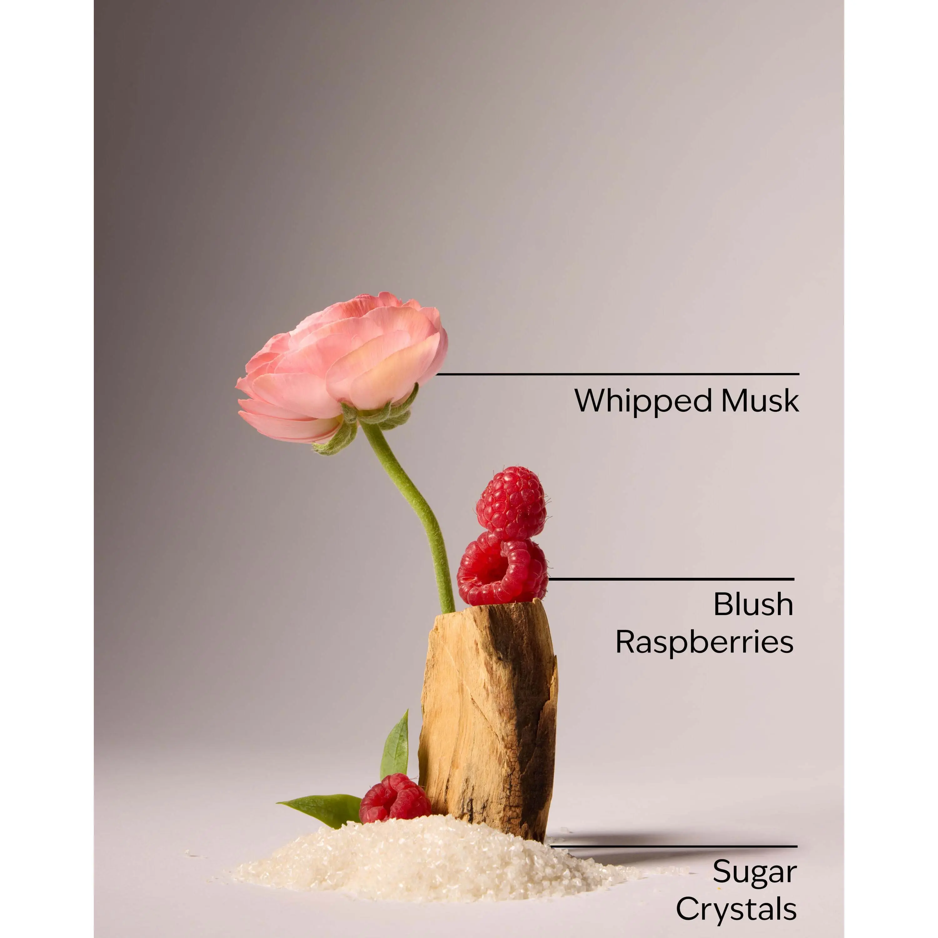 Sweetest Song Fine Fragrance Mist - Image 3