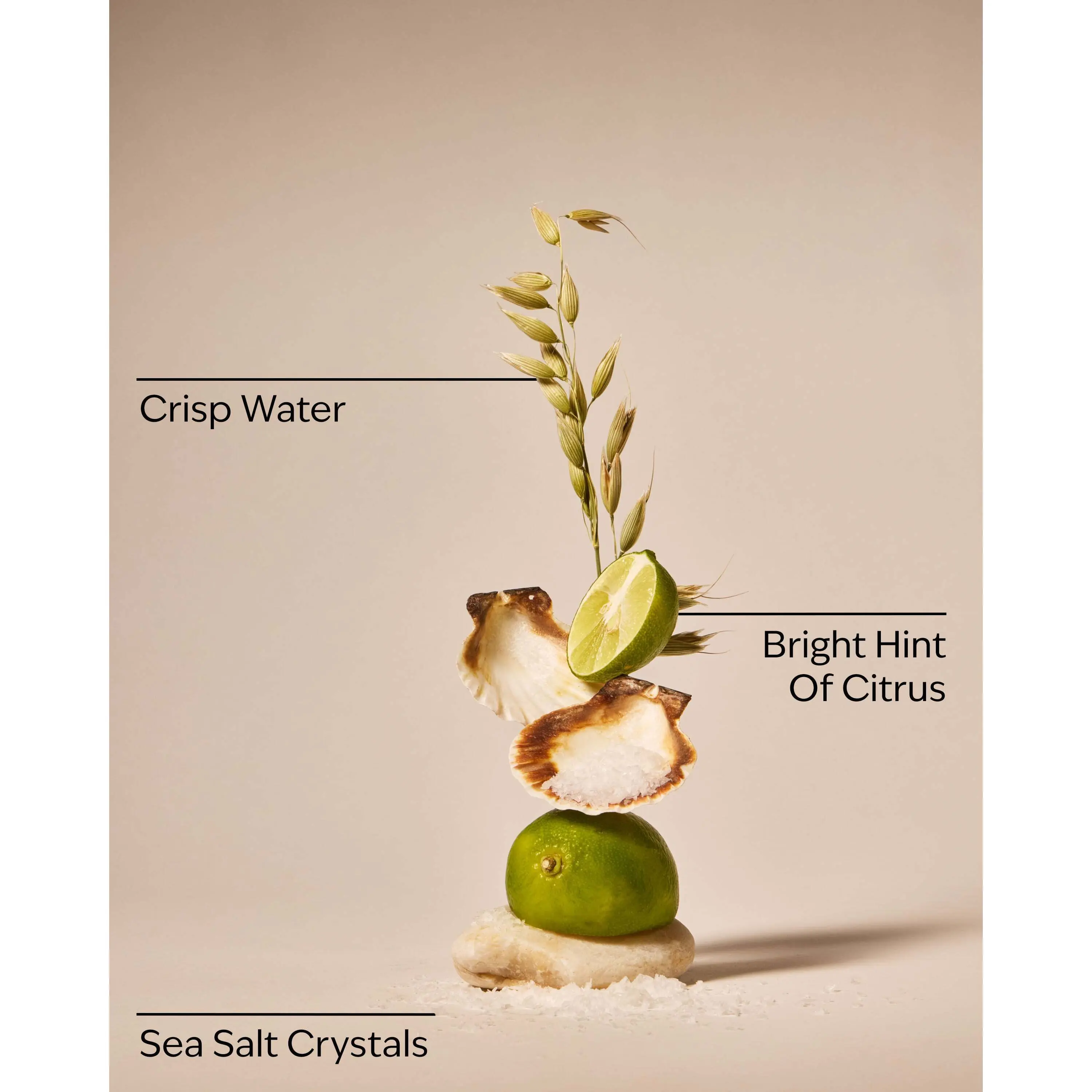 Fresh Water & Sea Salt 3-Wick Candle - Image 3